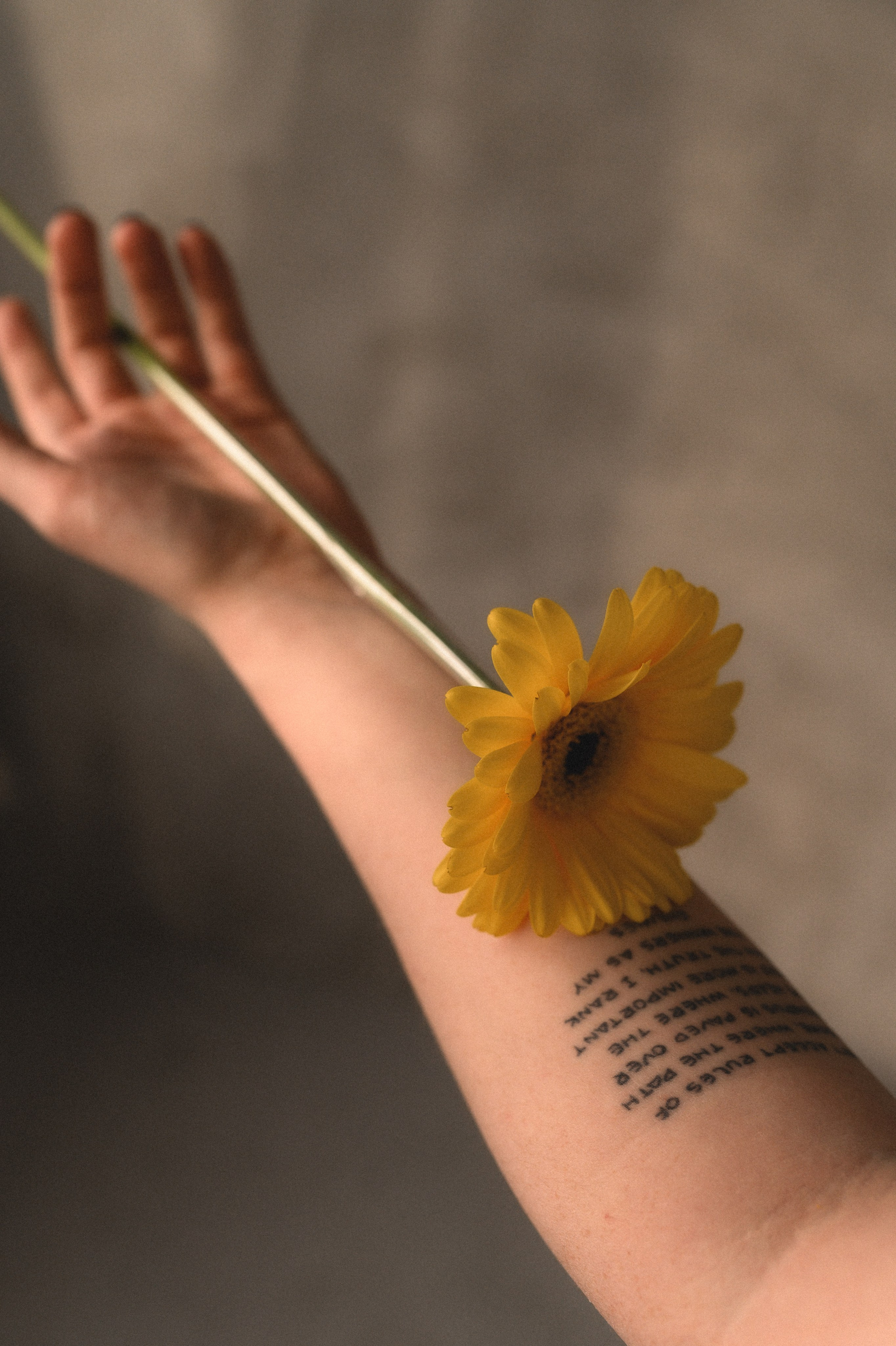 Женский портрет. Семейный и свадебный lifestyle-фотограф в Москве Мария Петрова