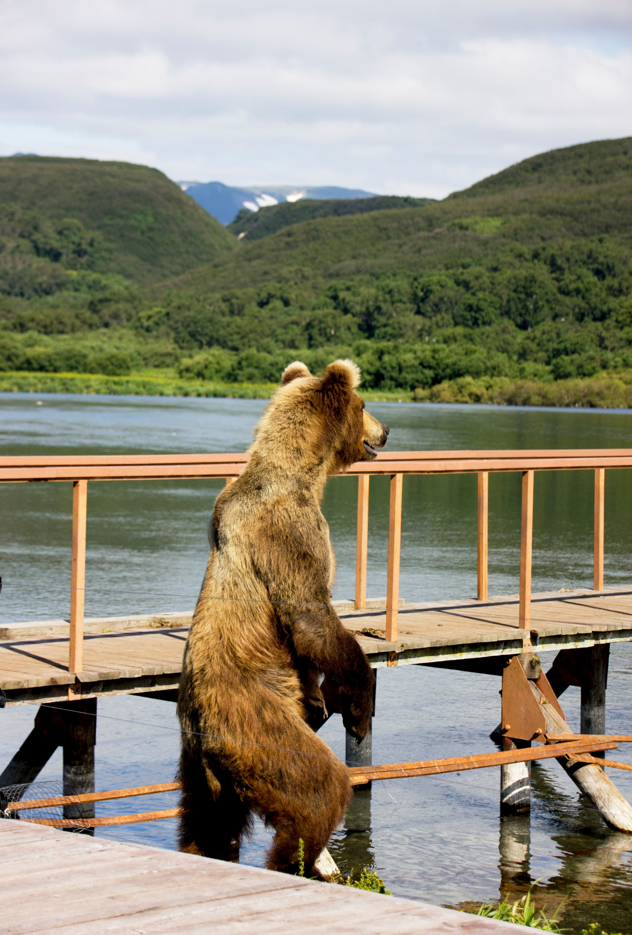 Камчатка, 2018. Портретный фотограф в Москве Евгения Яковенко