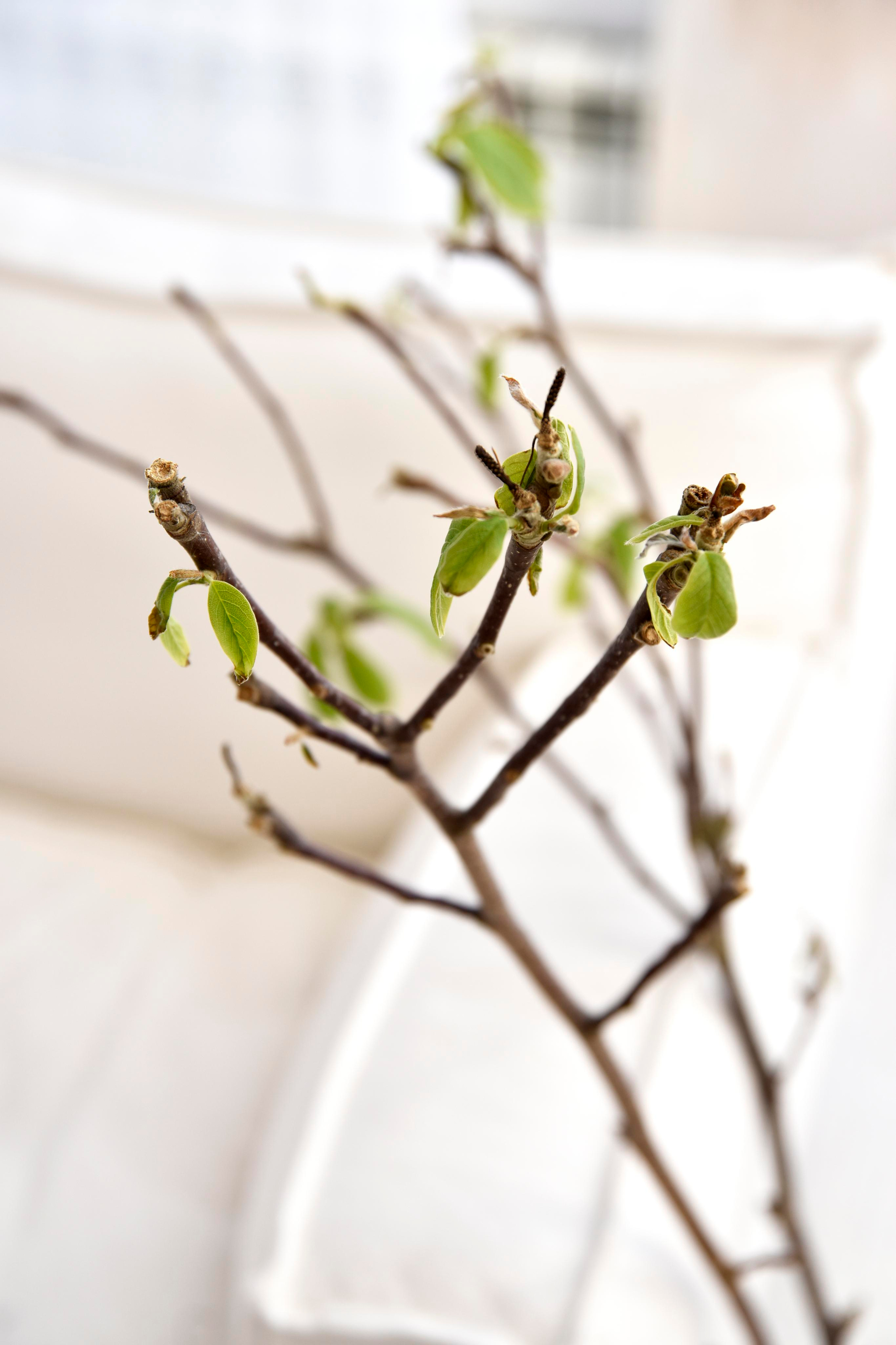 Семья Анны, Дмитрия и Егора