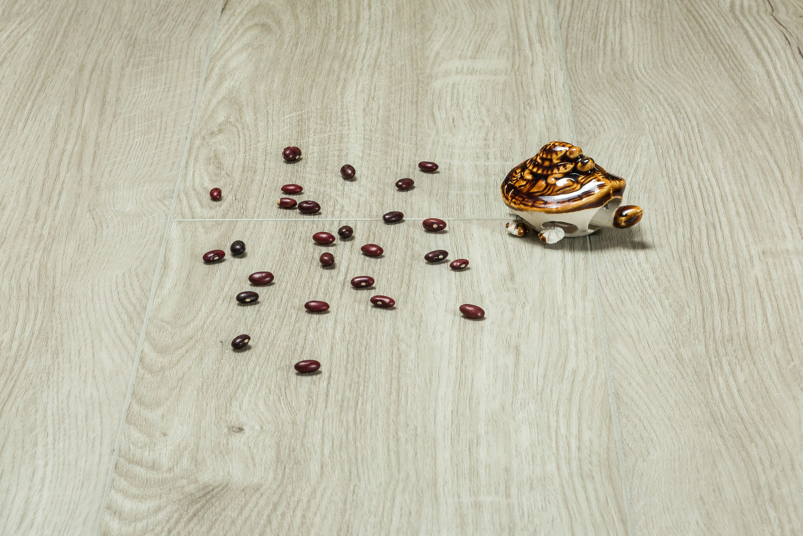 Паркет Аструм. Свадебный фотограф на Урале Виктор Соколов