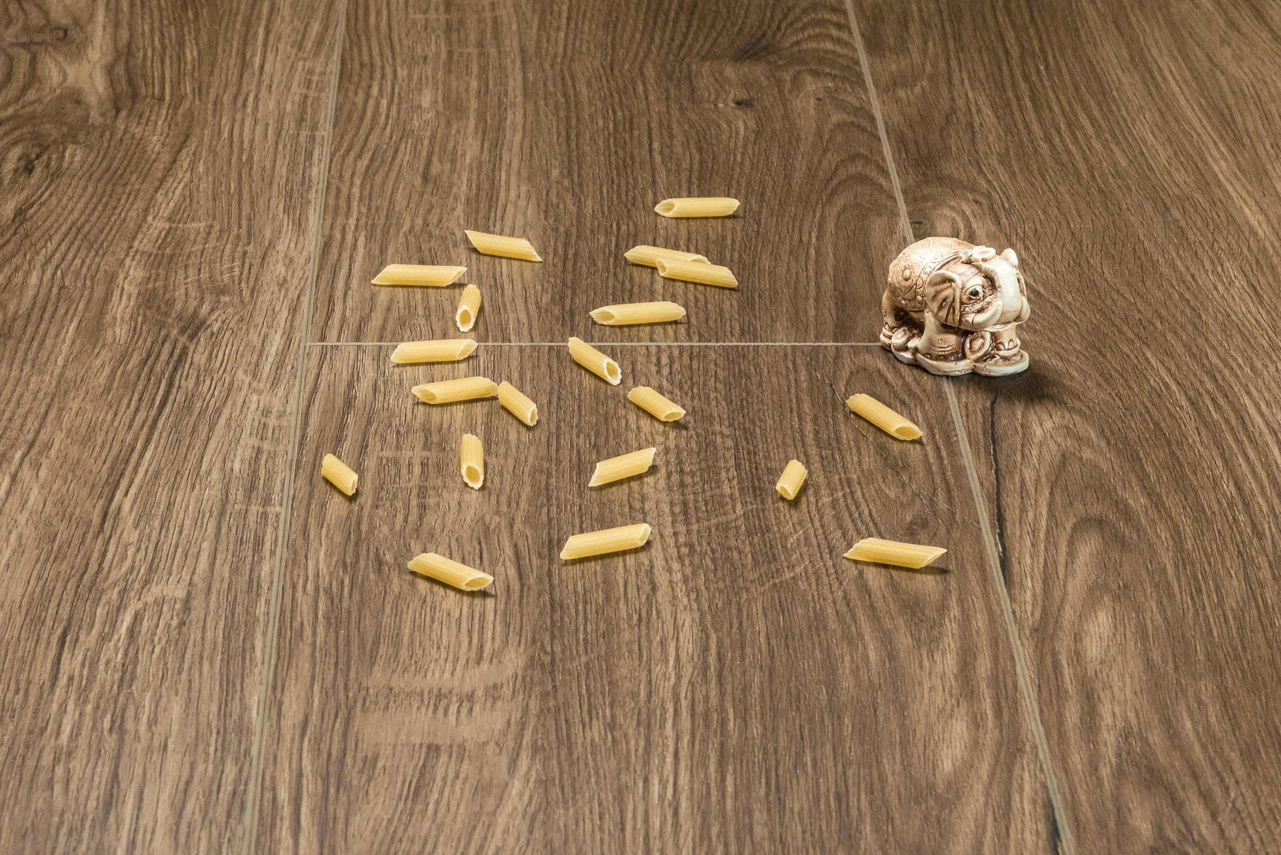 Паркет Аструм. Свадебный фотограф на Урале Виктор Соколов