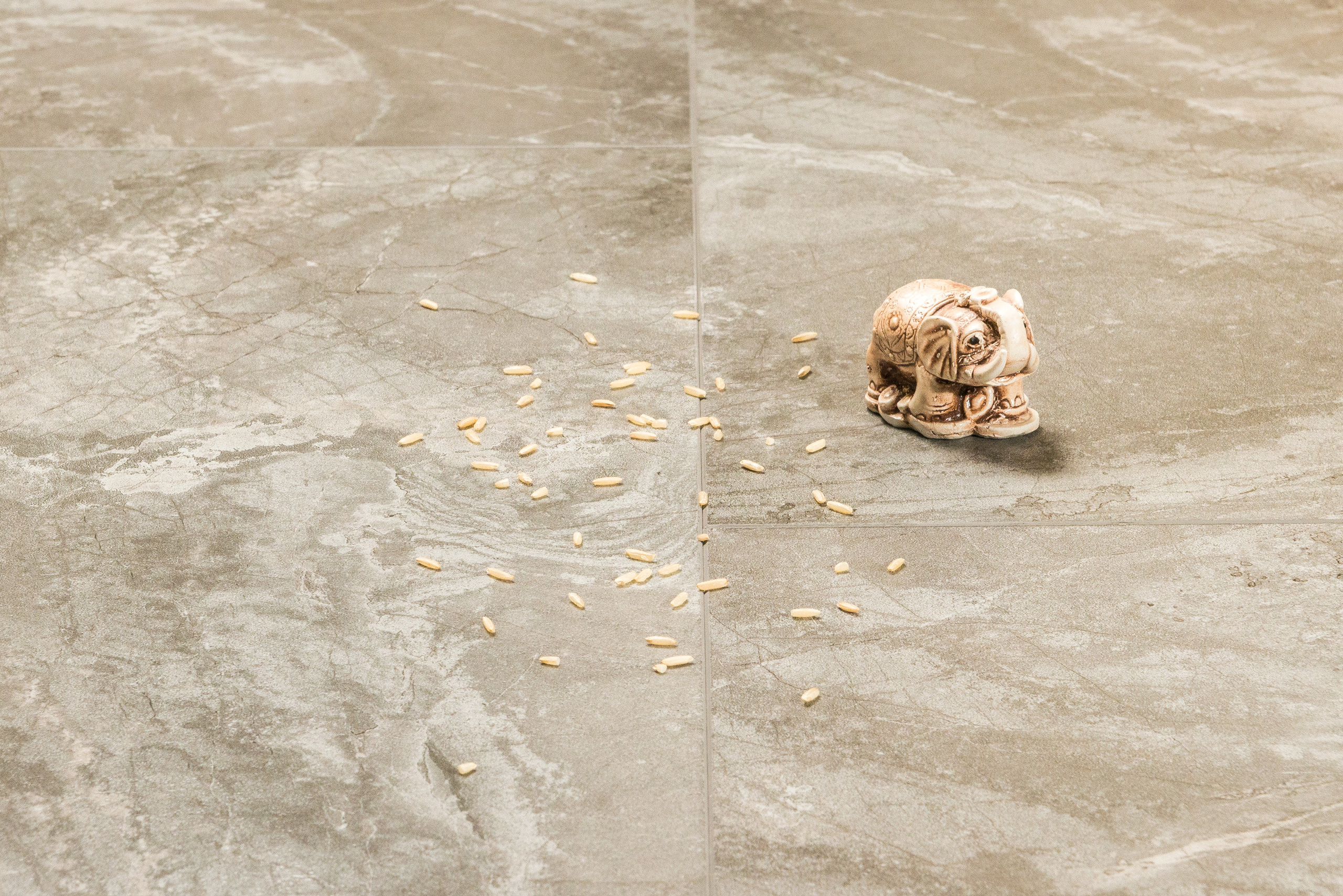 Паркет Аструм. Свадебный фотограф на Урале Виктор Соколов