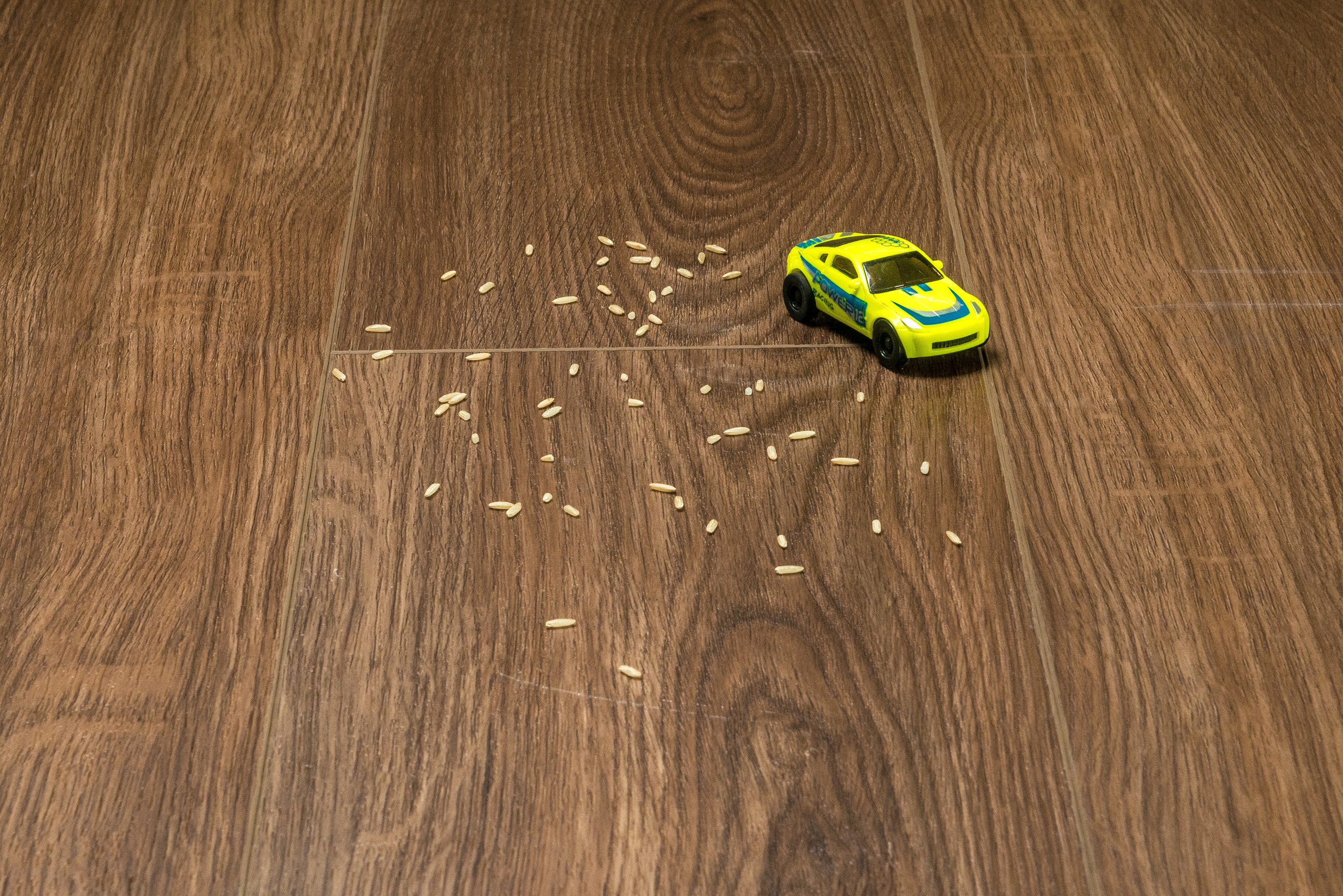 Паркет Аструм. Свадебный фотограф на Урале Виктор Соколов