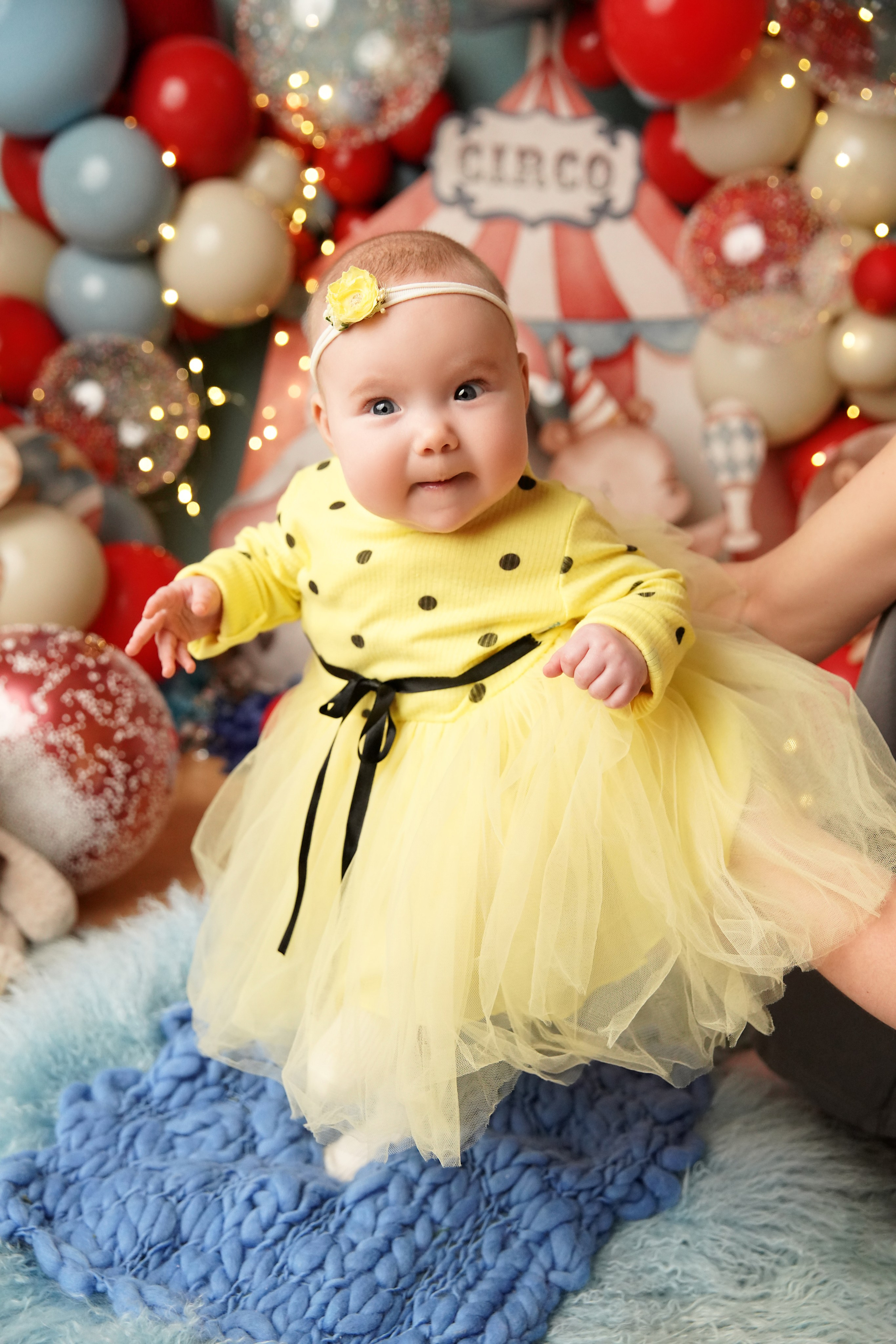 Цирк. Фотограф новорожденных. Семейный и детский фотограф в городе Сургуте
