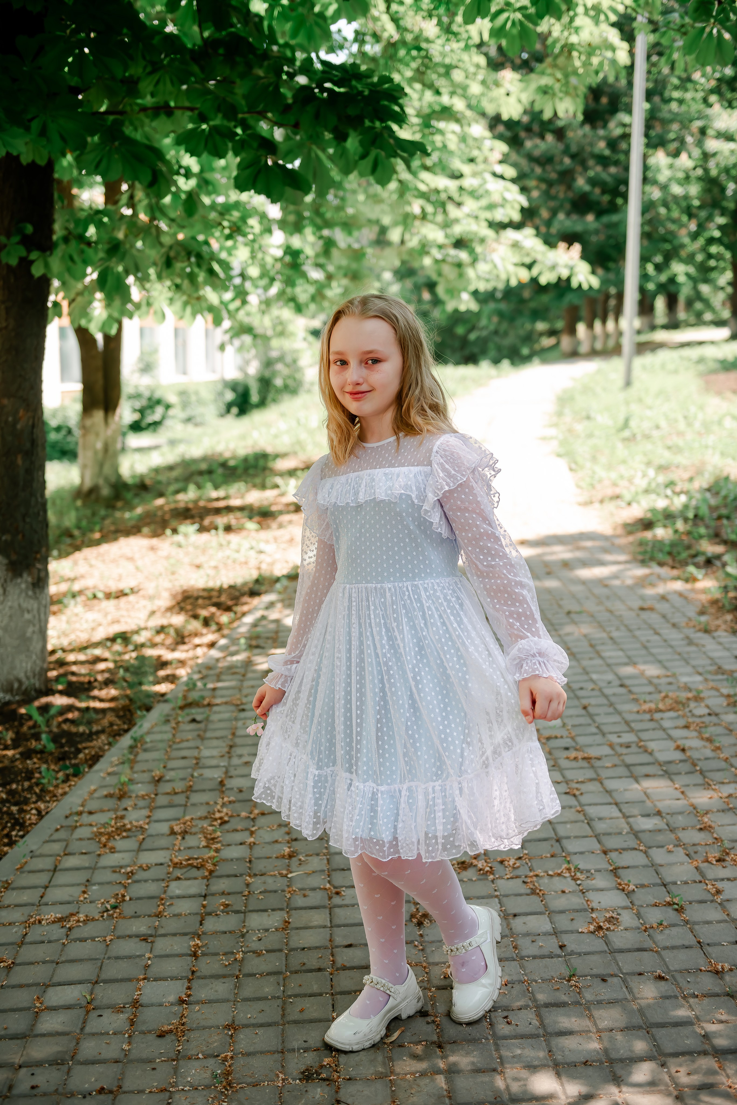 4 «Б» |г.Белгород |31 школа|2024-2025. ALBUMIA