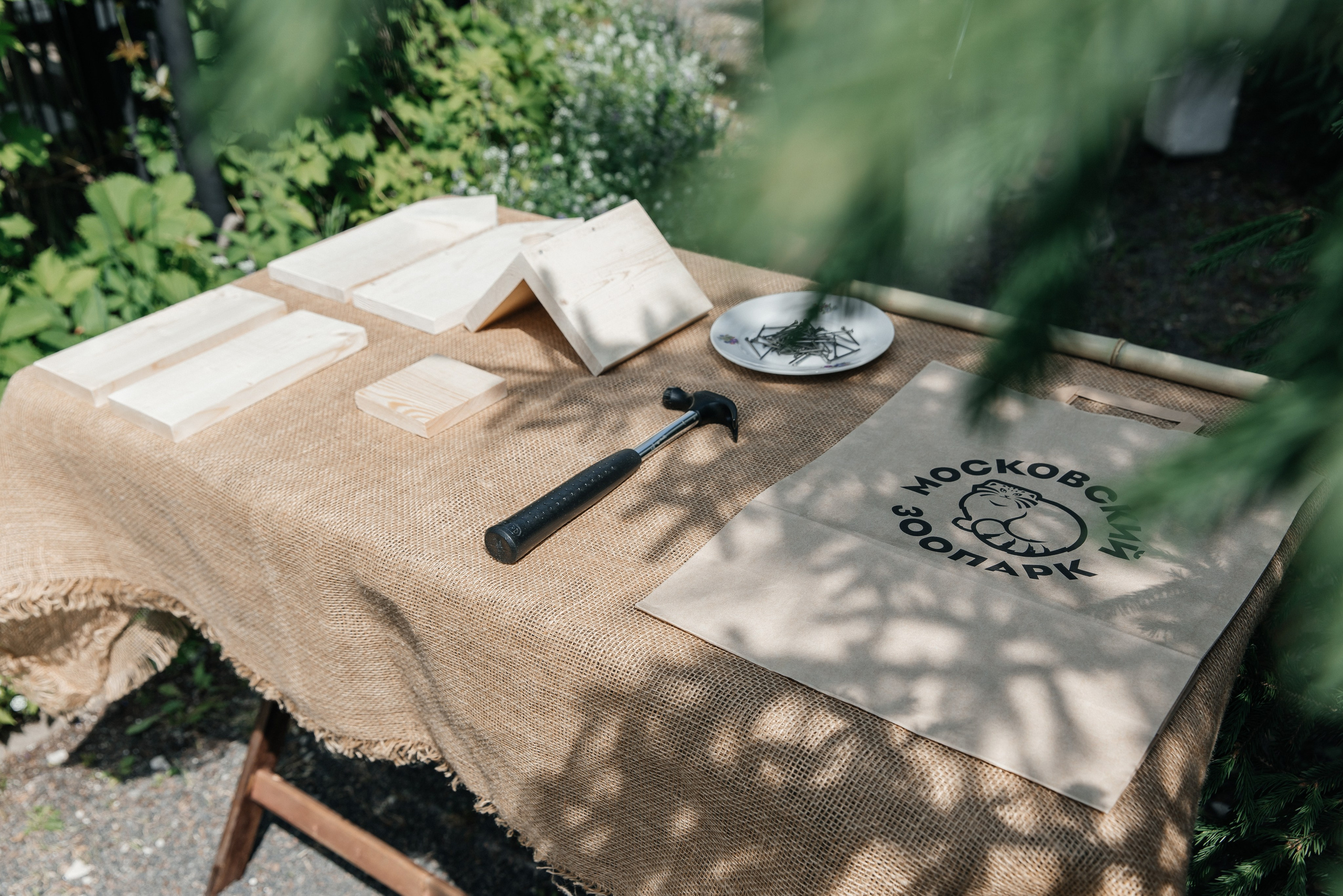 Анастасия и Никита| Зоопарк. Фотограф Москва Шептаев Артём