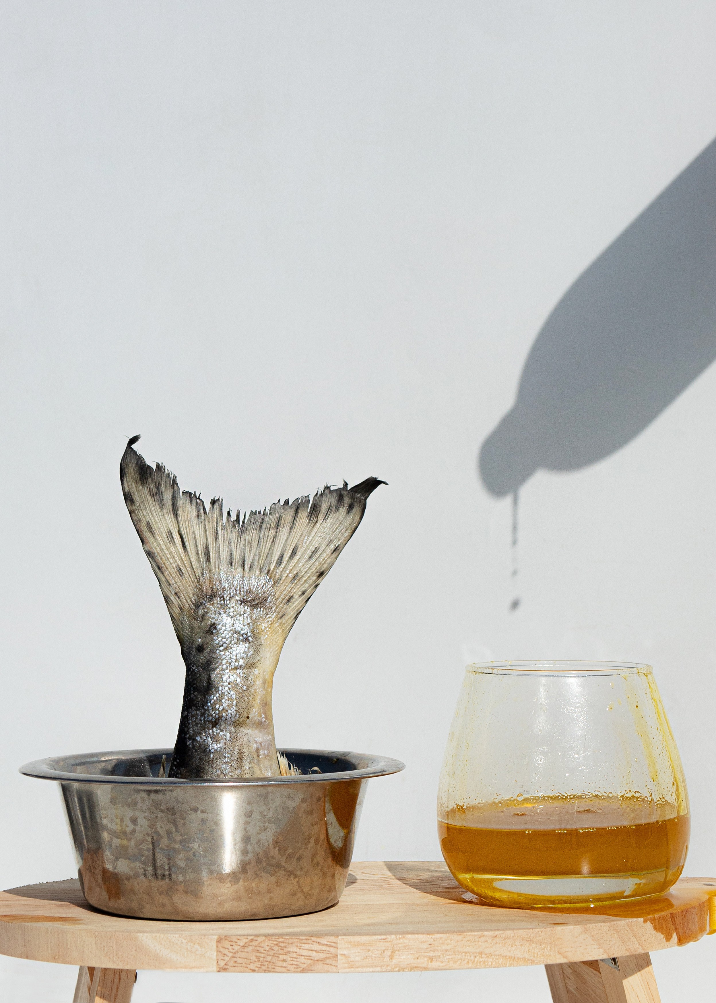 Salmon Oil бренд O2Pets. Фотограф Ольга Мурзина