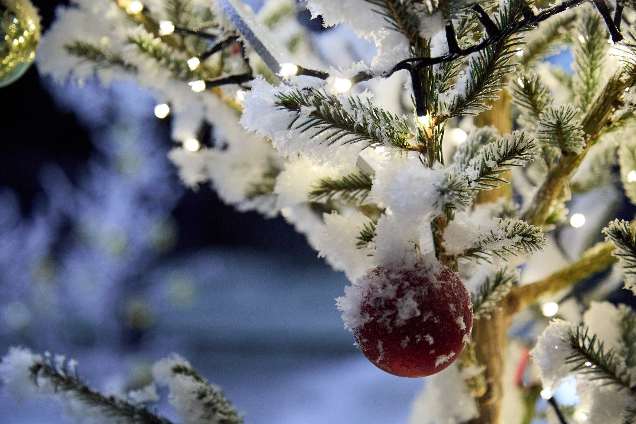 Новогодний Омск 2025. Фотограф Омск | Александр Вандеров