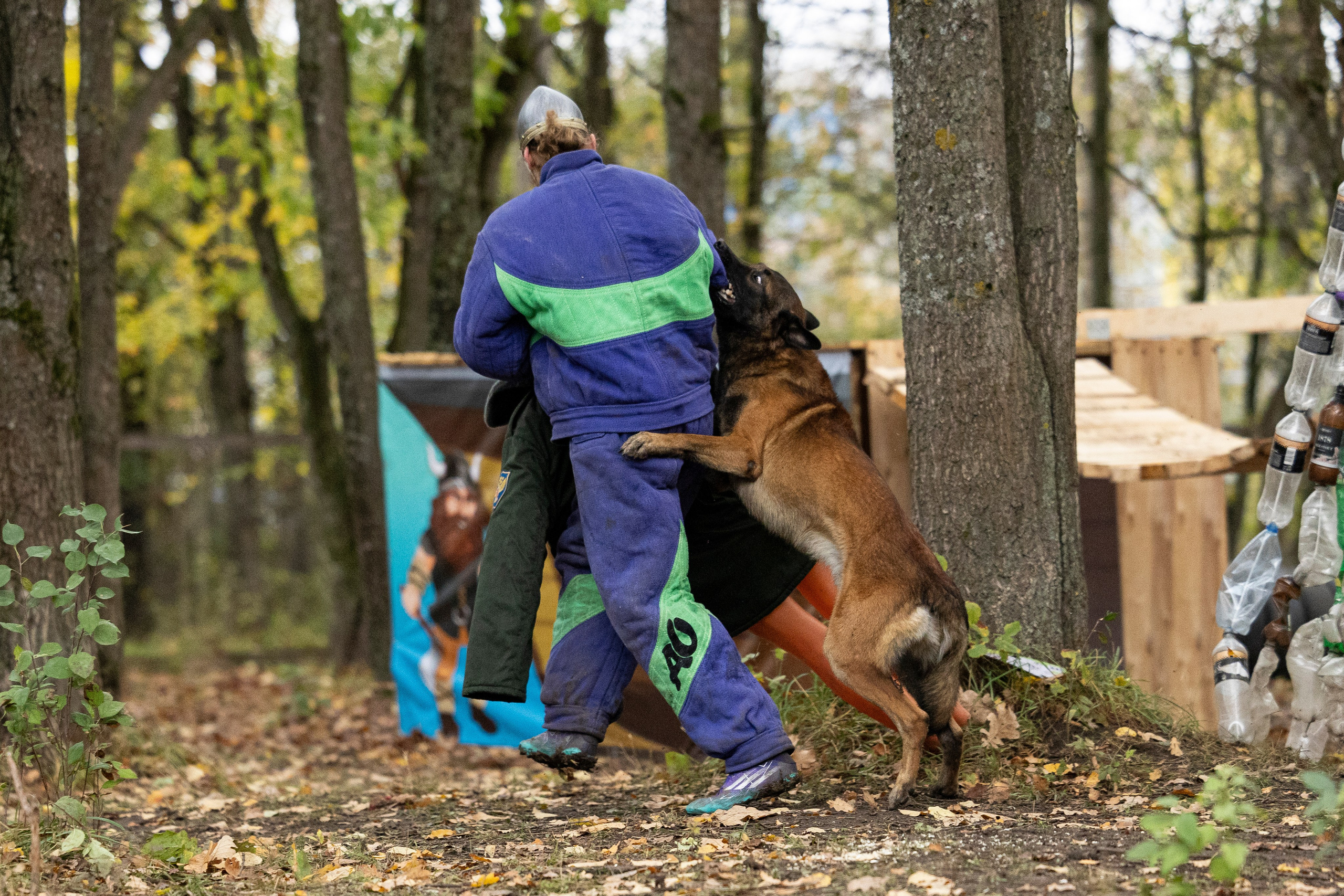 Соревнования по Мондьорингу г. Вологда. Фотограф-анималист Анна Маринич