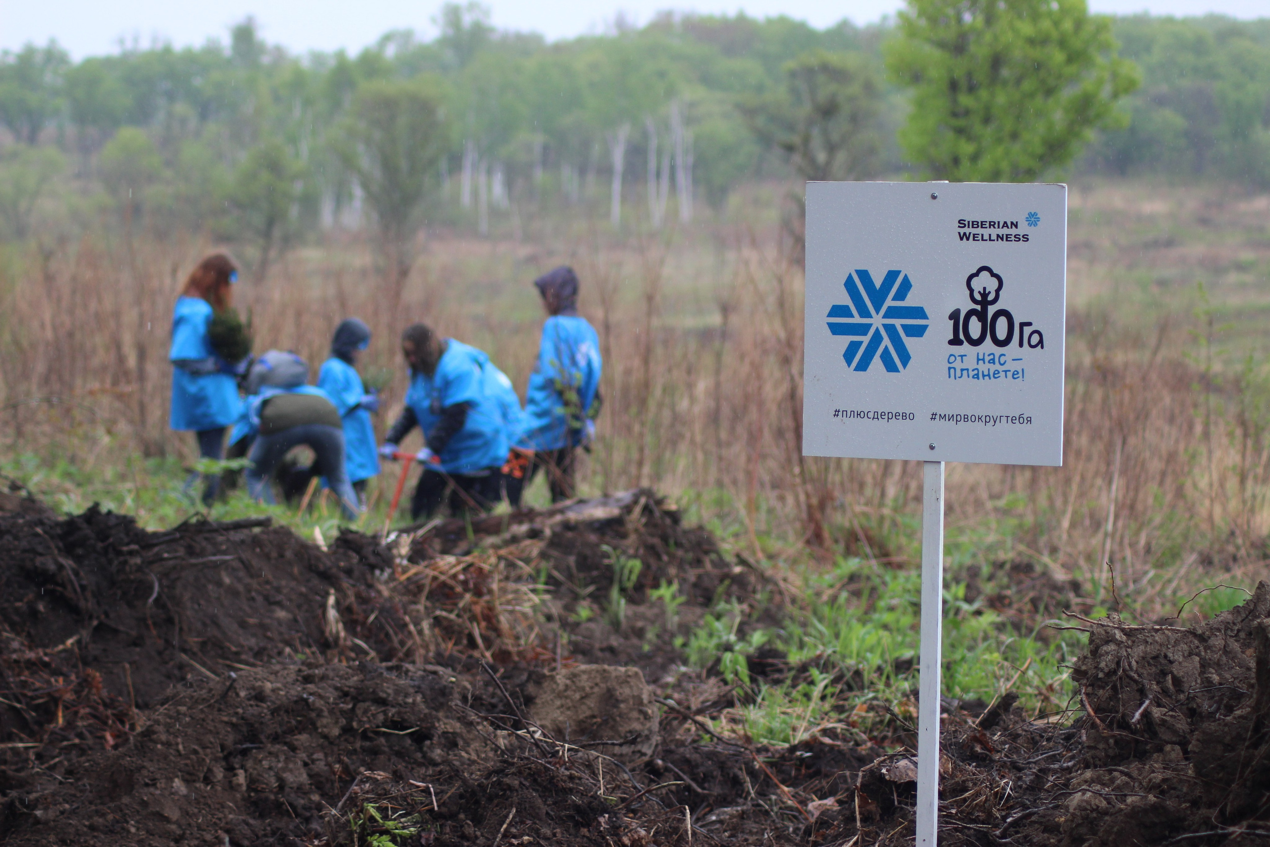 Siberian wellness «100 Га от нас — планете»