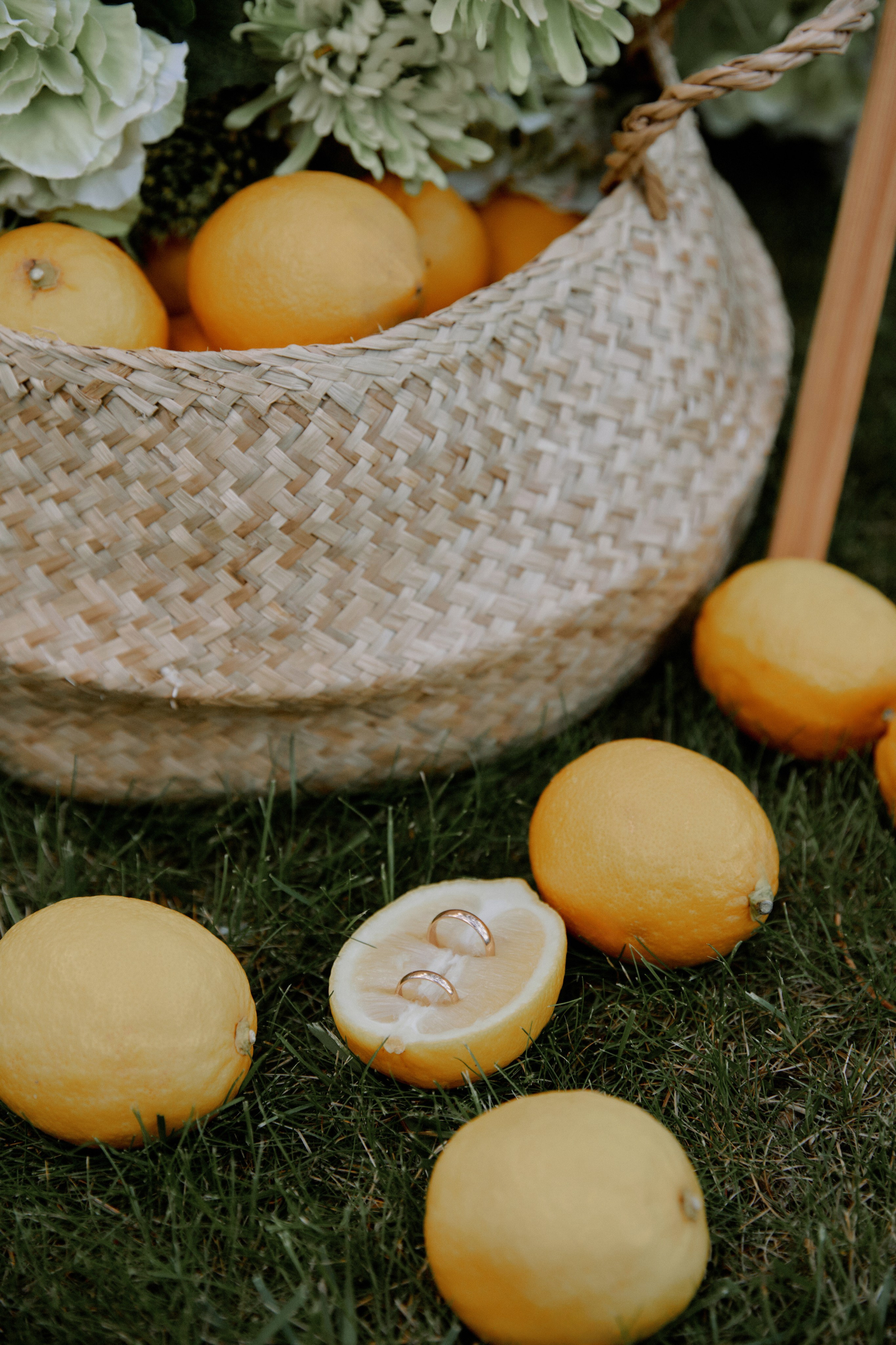 Мамма Мia!. Фотограф Елена Краснопевцева