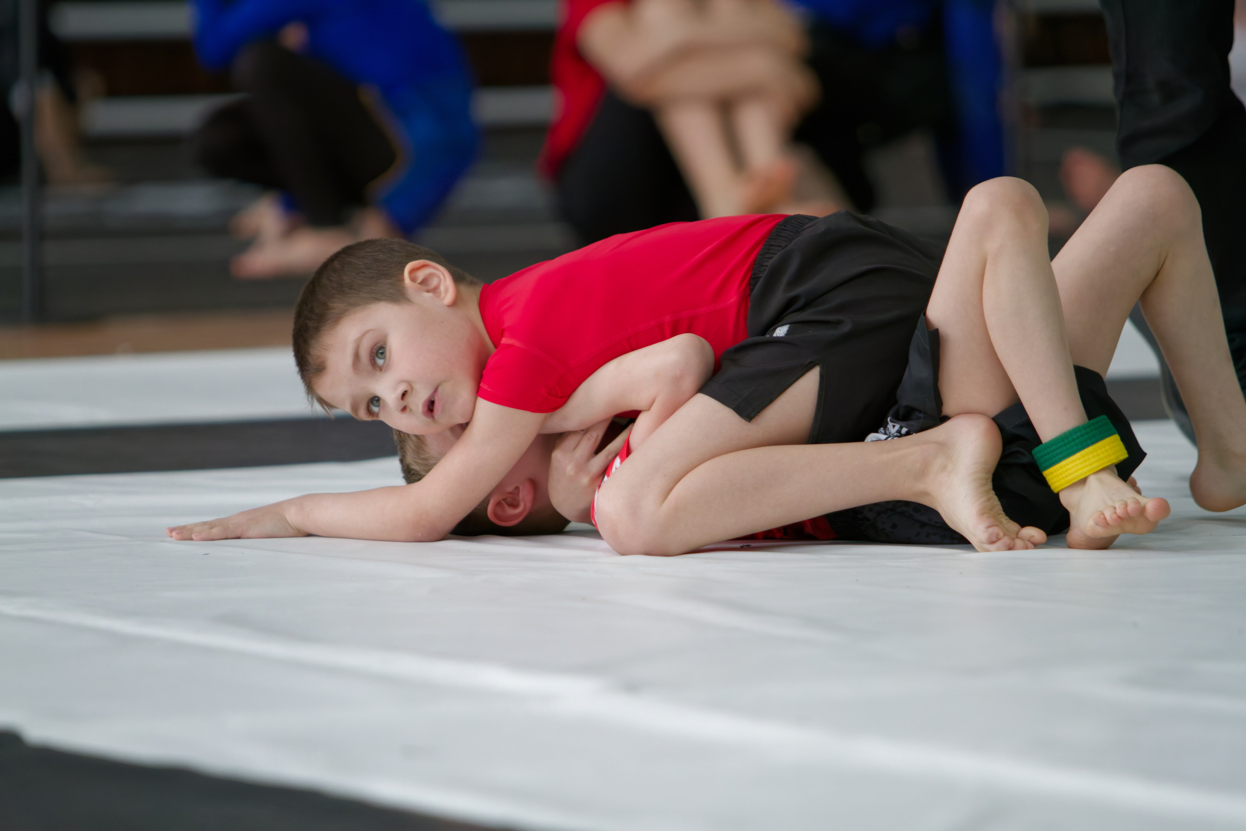 Борьба. Джиу-джитсу 26.04.2025. Репортажный и спортивный фотограф в г. Пермь Зильберг Павел