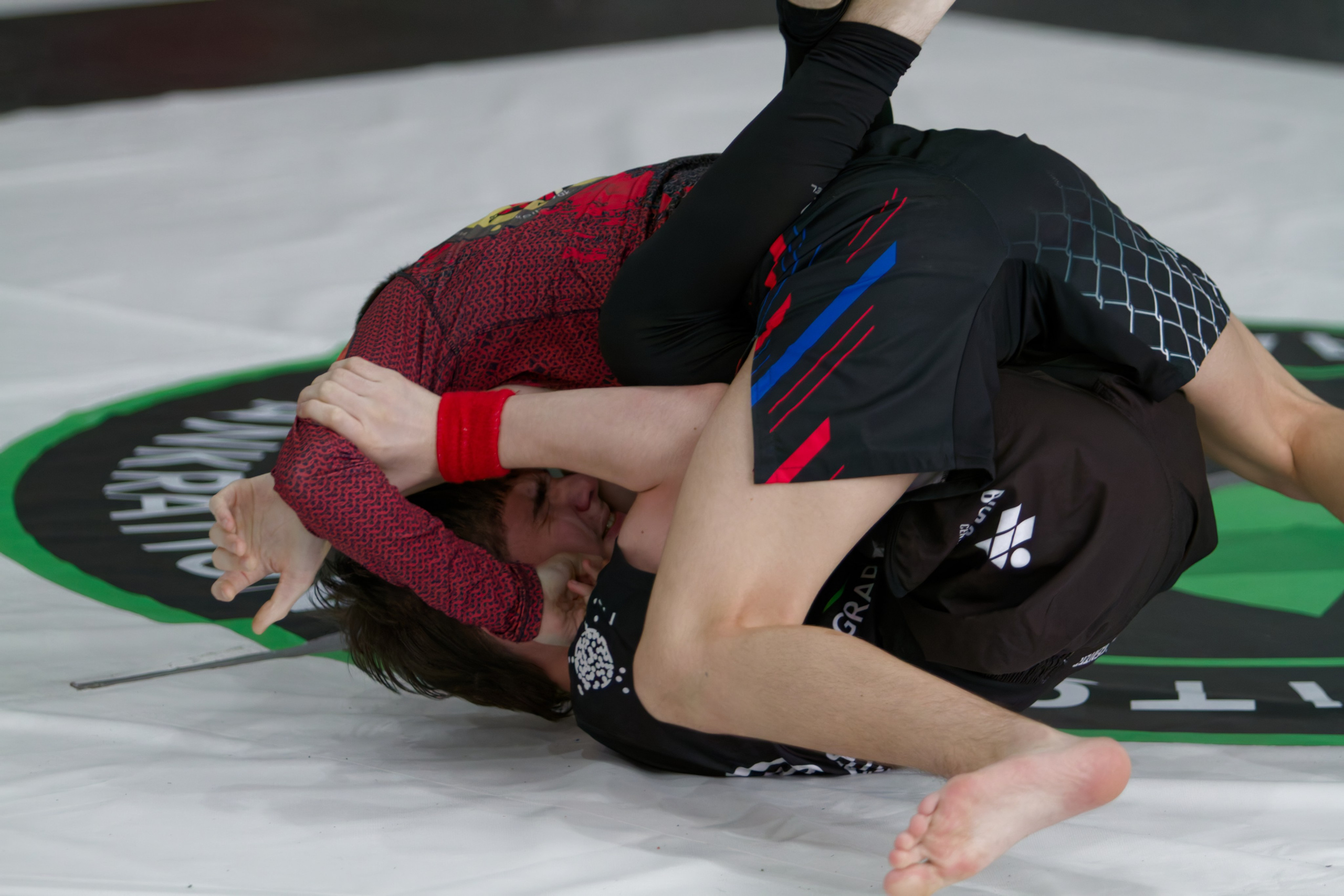 Борьба. Джиу-джитсу 26.04.2025. Репортажный и спортивный фотограф в г. Пермь Зильберг Павел