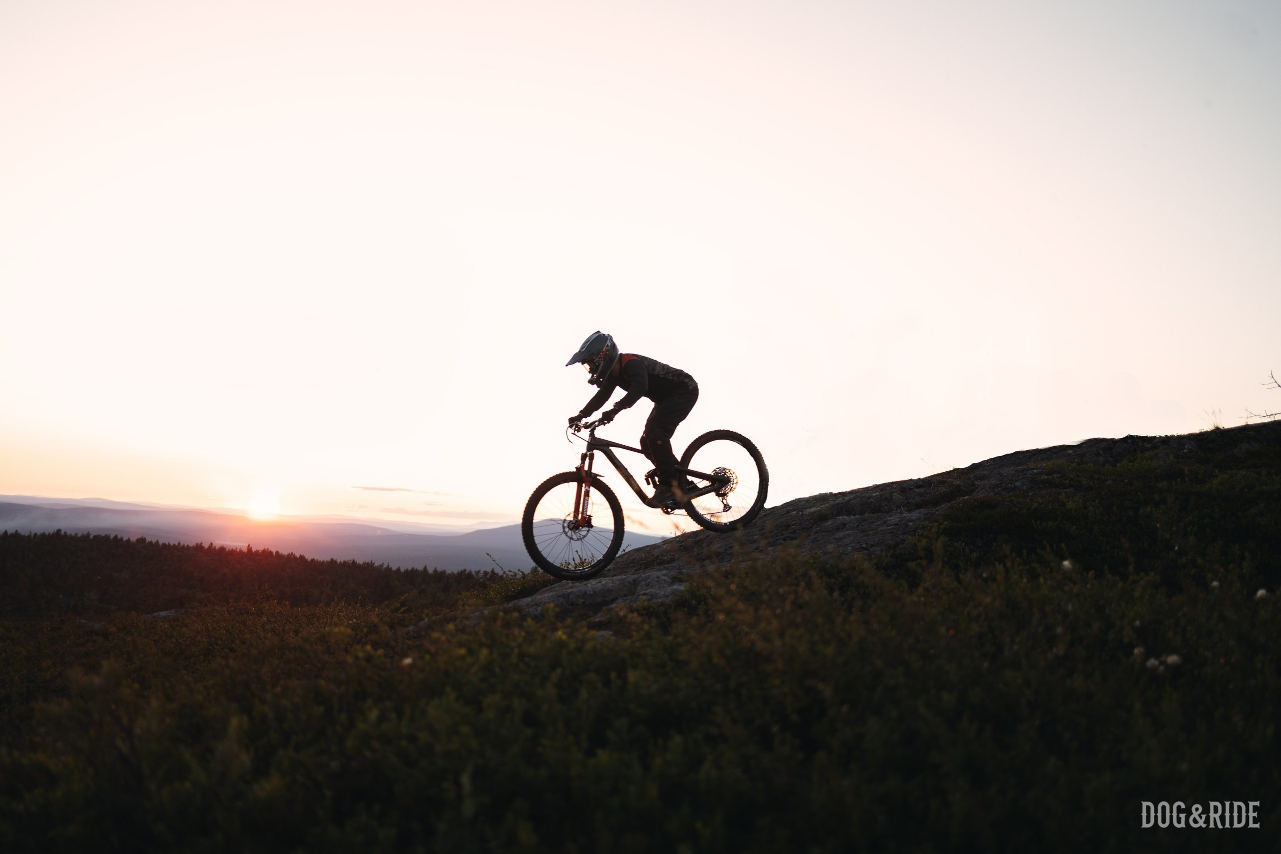 Кандалакшка. Фотограф анималист Никита Натальный