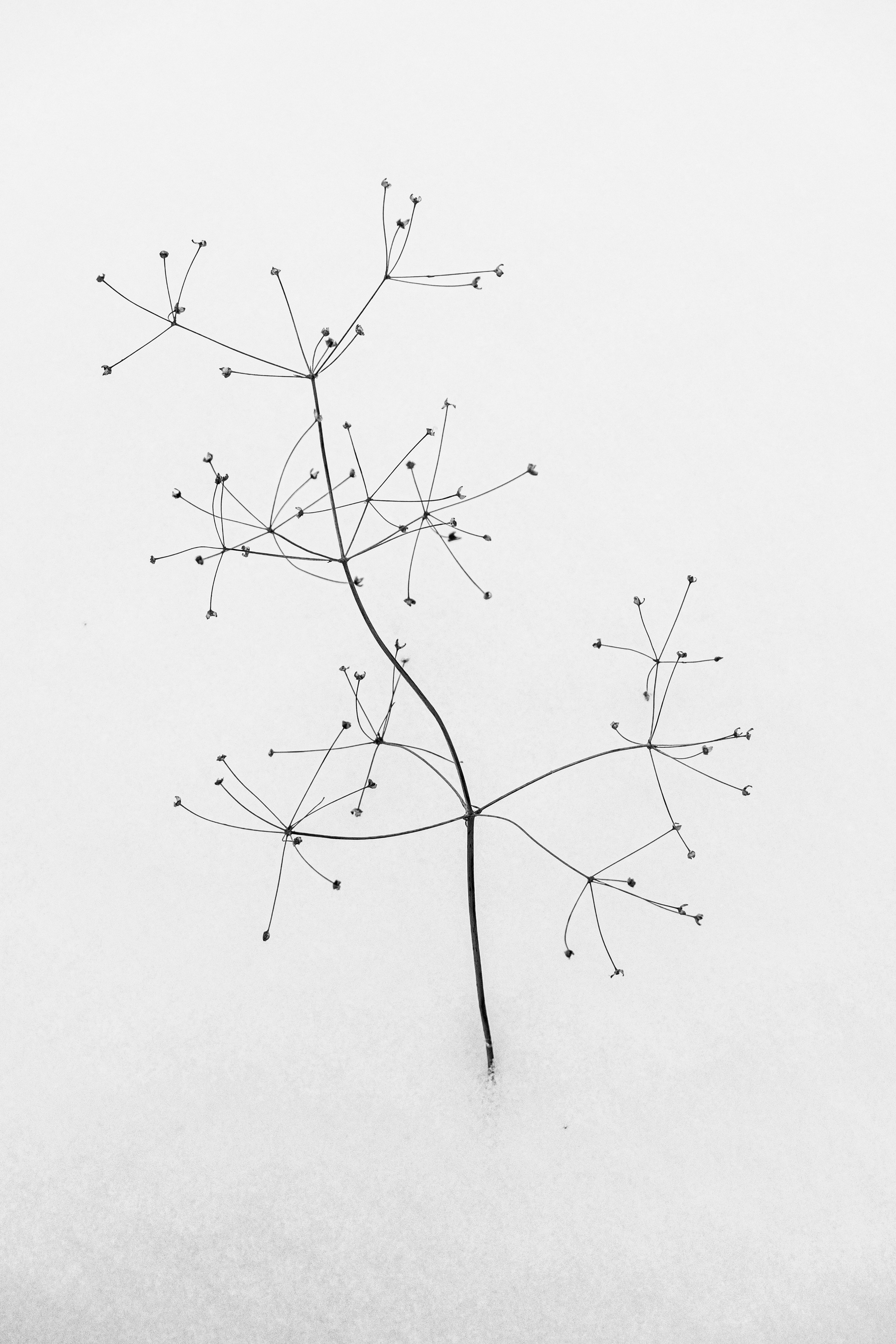 Вода. Портретный и архитектурный фотограф в Москве и Санкт-Петербурге