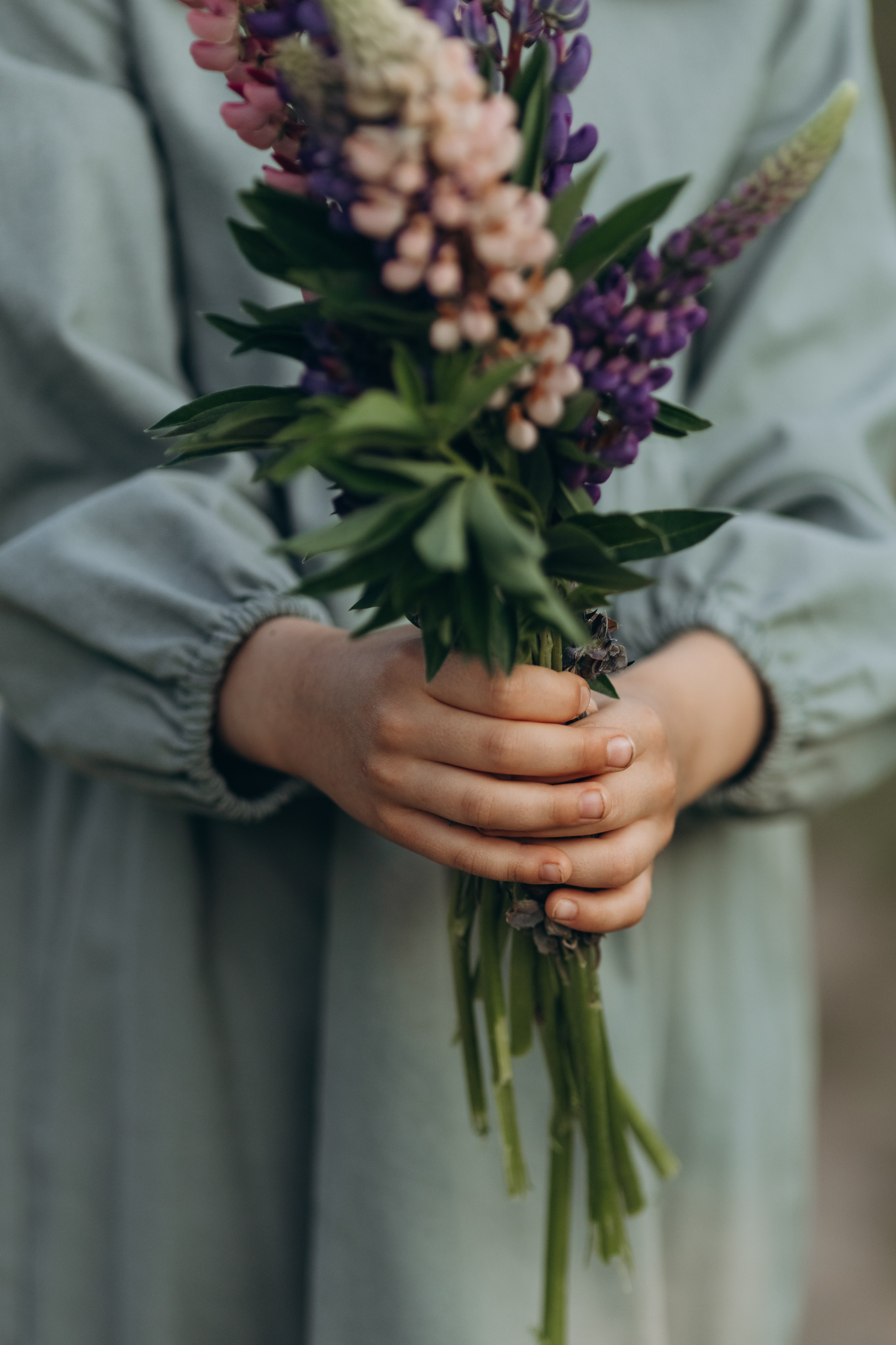 В люпинах. Фотограф Людмила Оюн