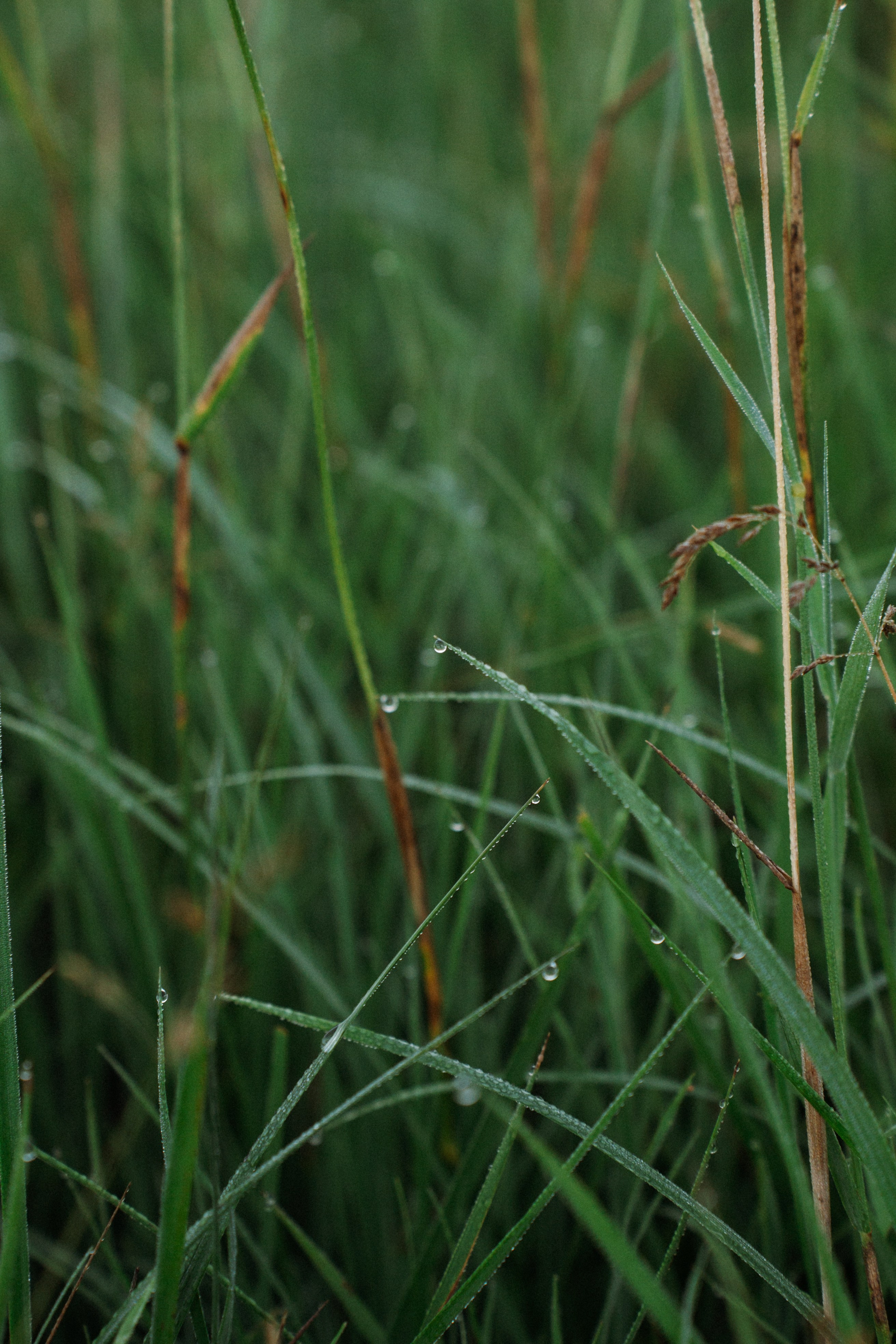POBEDA — Воин // съёмки клипа в Суздале. Фотограф в Москве Маша Игитова