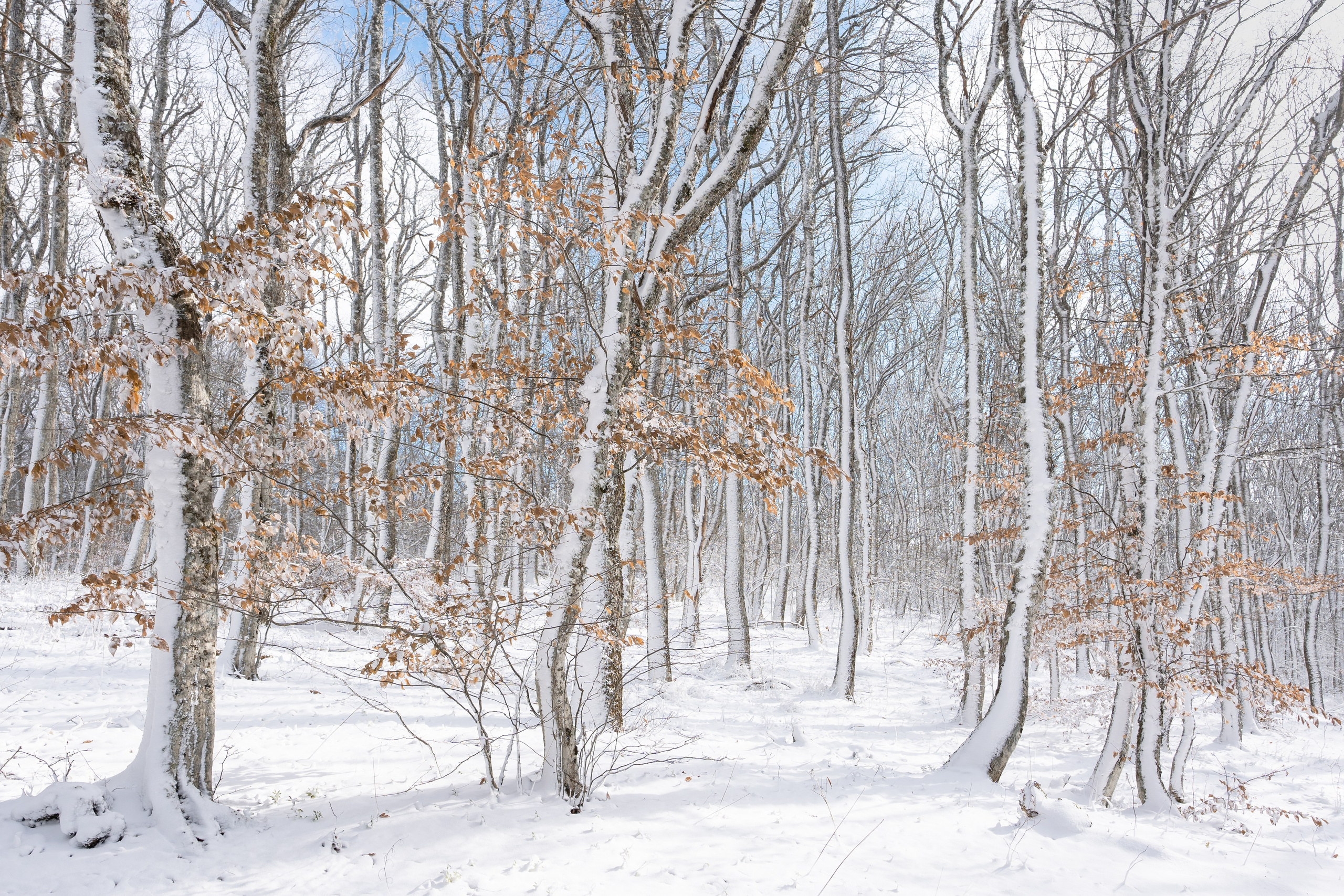 Пейзаж от Ольги Пановой. Интерьерный и архитектурный фотограф в Москве Панова Ольга