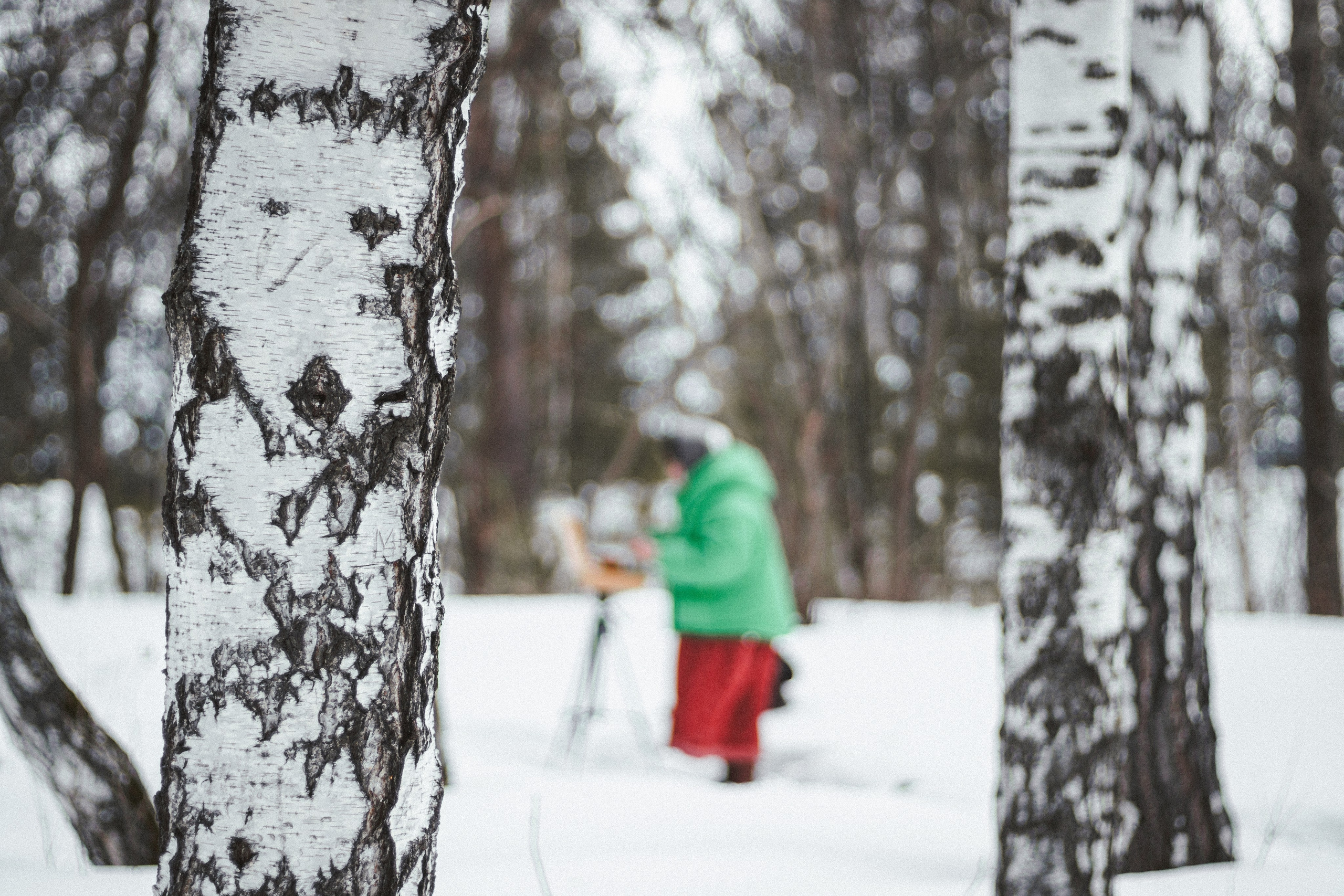 Фотограф Томск. Прогулочная фотосессия Томск. Фотосъёмка Томск. Фотограф в Томске Дарья Пучкина