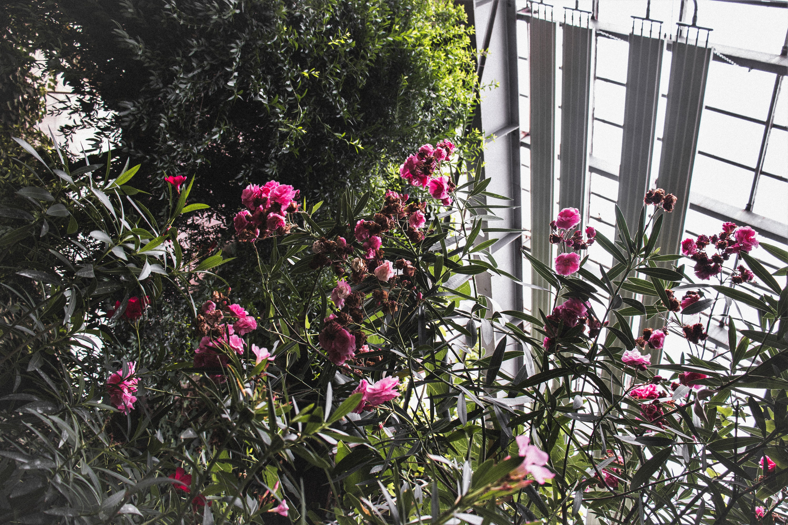 Фотограф Томск. Портретный фотограф Томск. Индивидуальная фотосессия Томск. Фотограф в Томске Дарья Пучкина