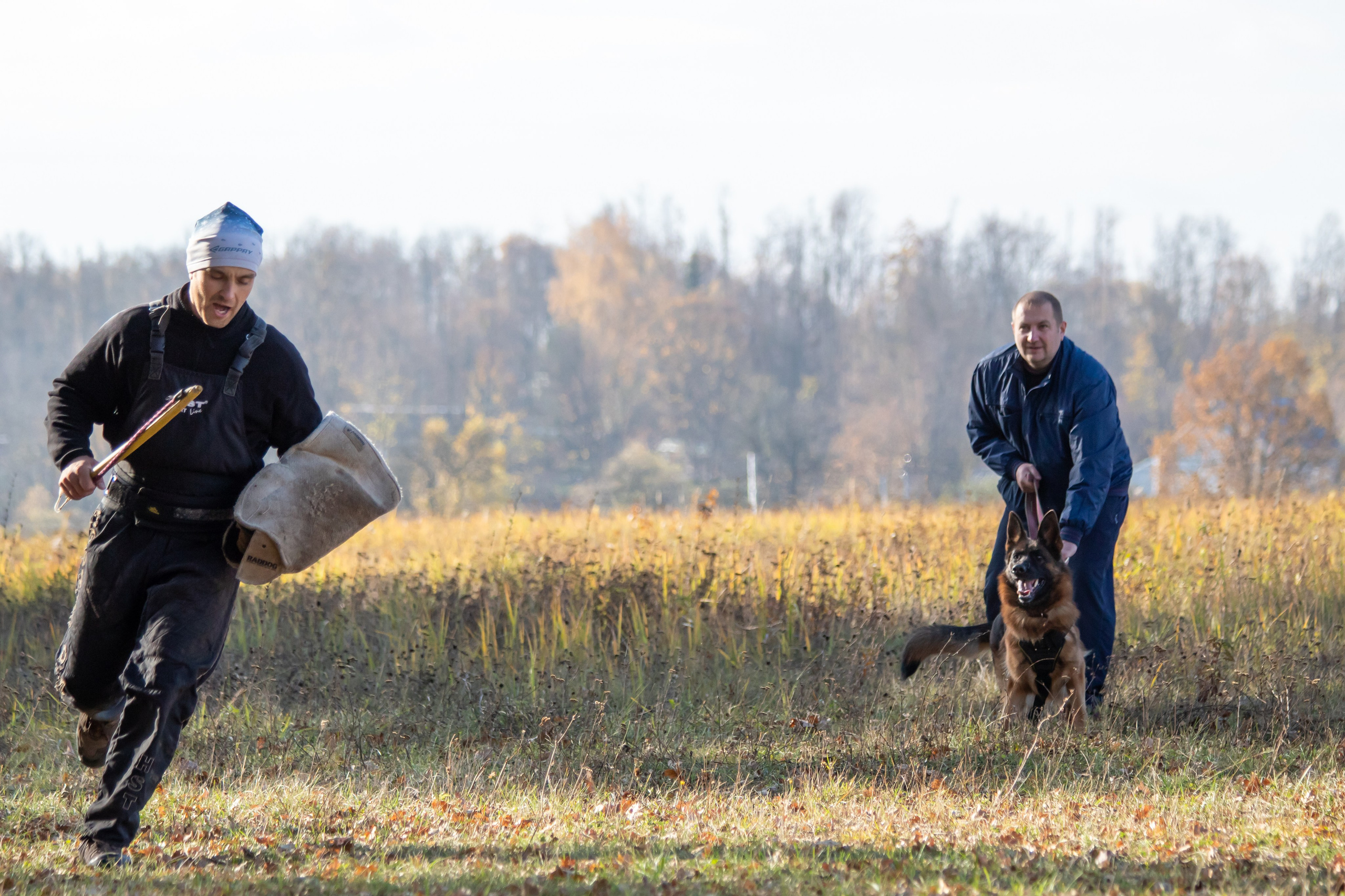 Тренинг защитного раздела. Фотограф анималист — Тула, Москва