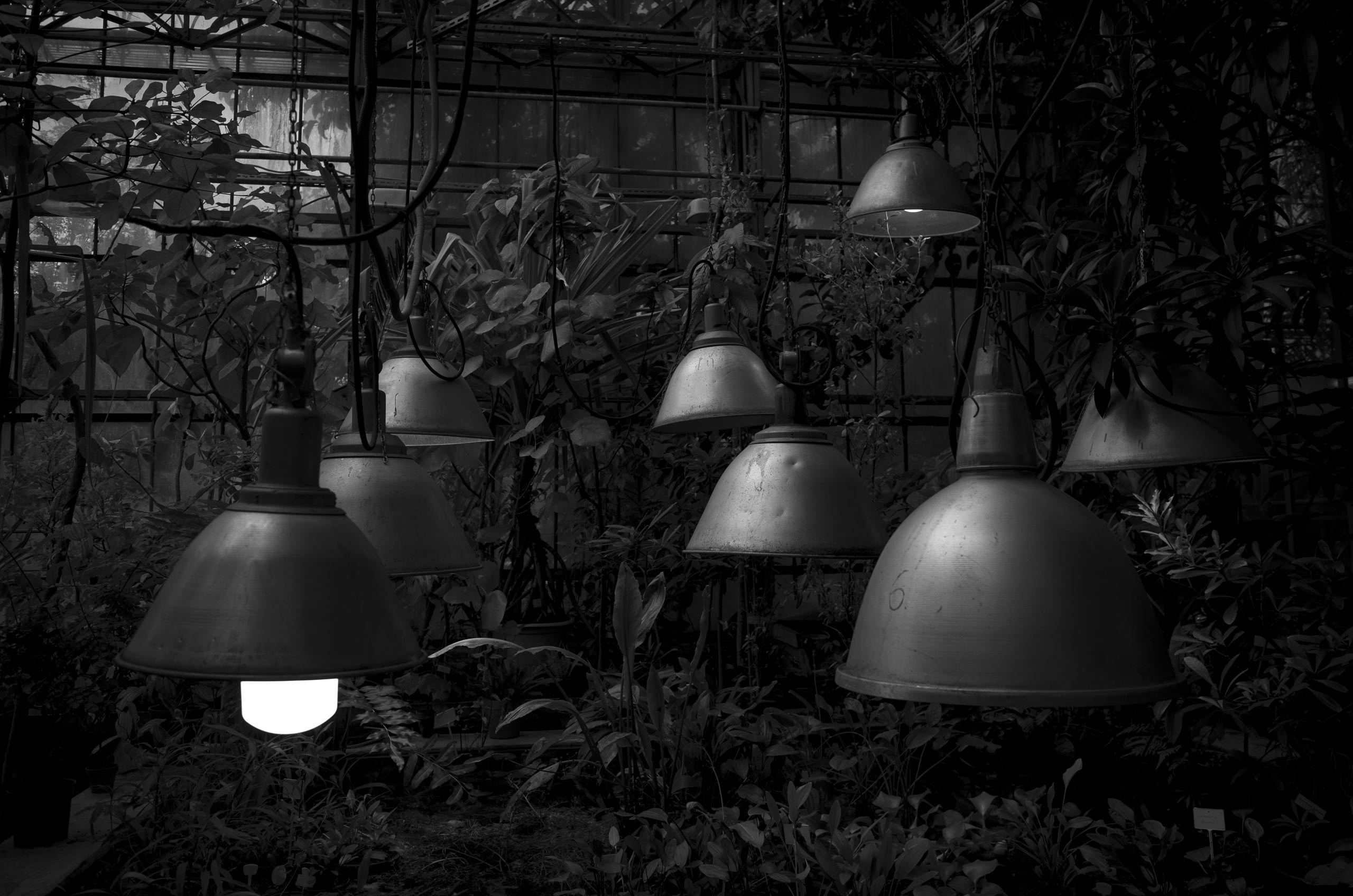 100 фотографий. Артём Линейцев, фотограф