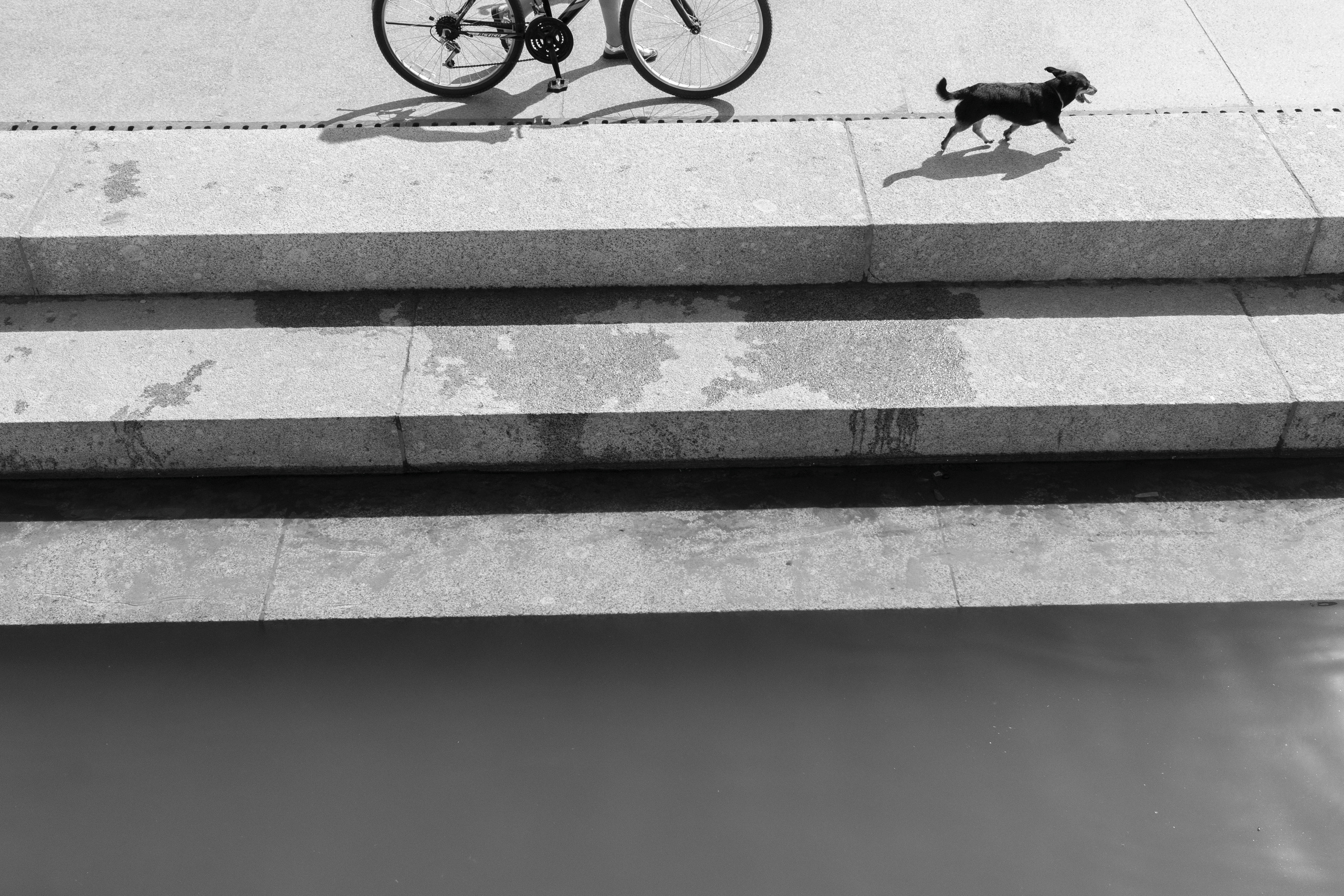 100 фотографий. Артём Линейцев, фотограф