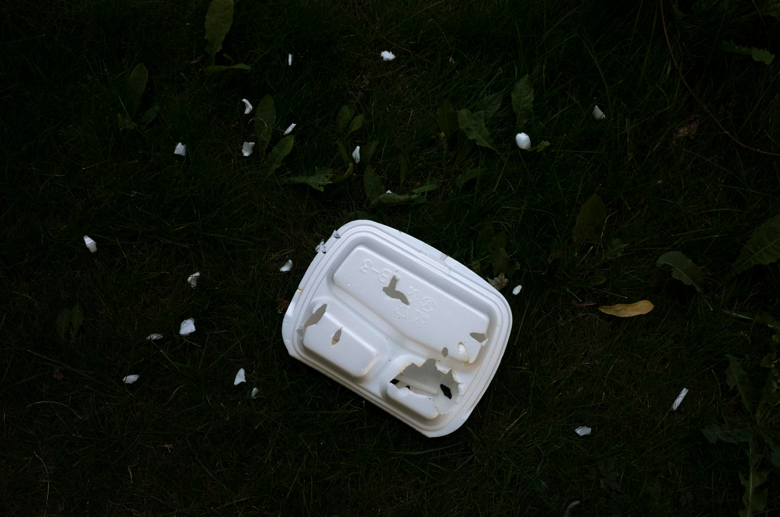 100 фотографий. Артём Линейцев, фотограф