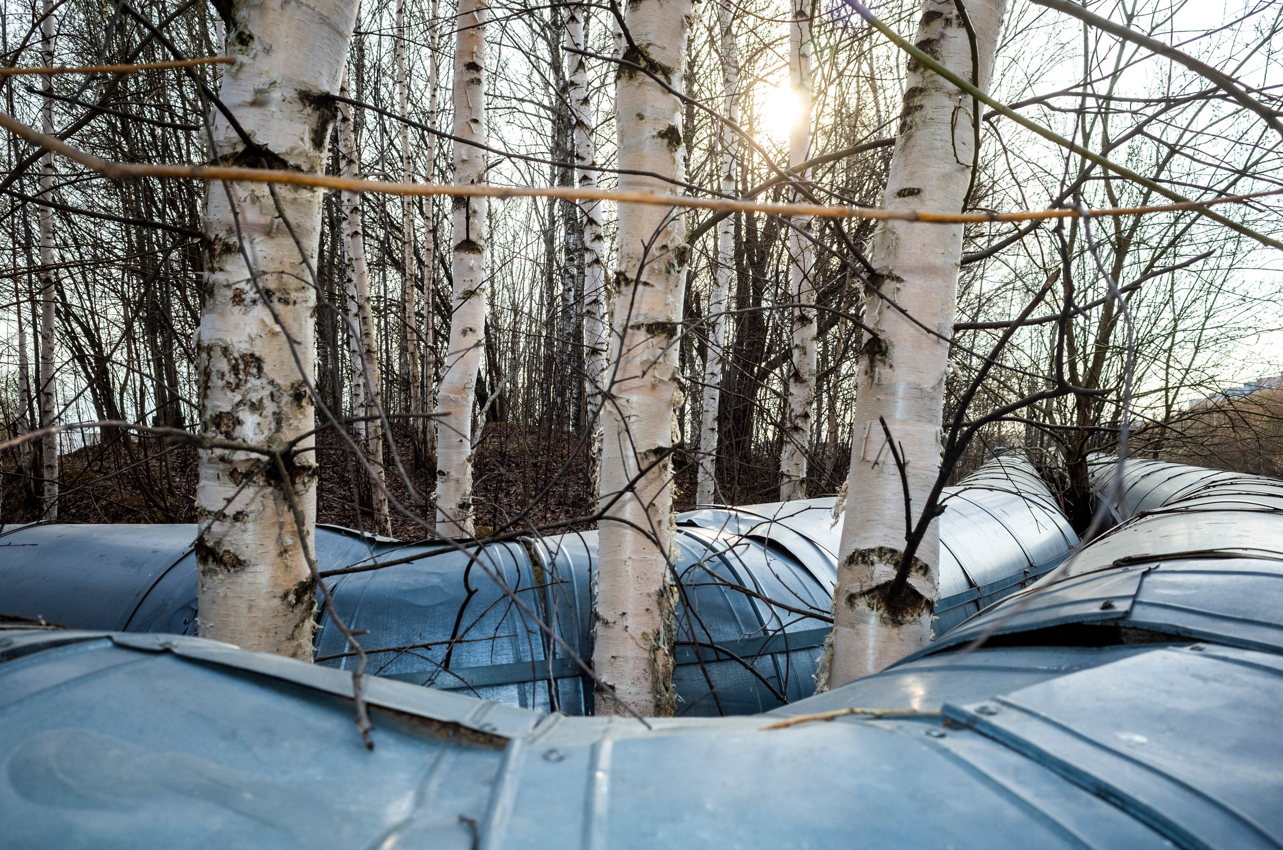 100 фотографий. Артём Линейцев, фотограф