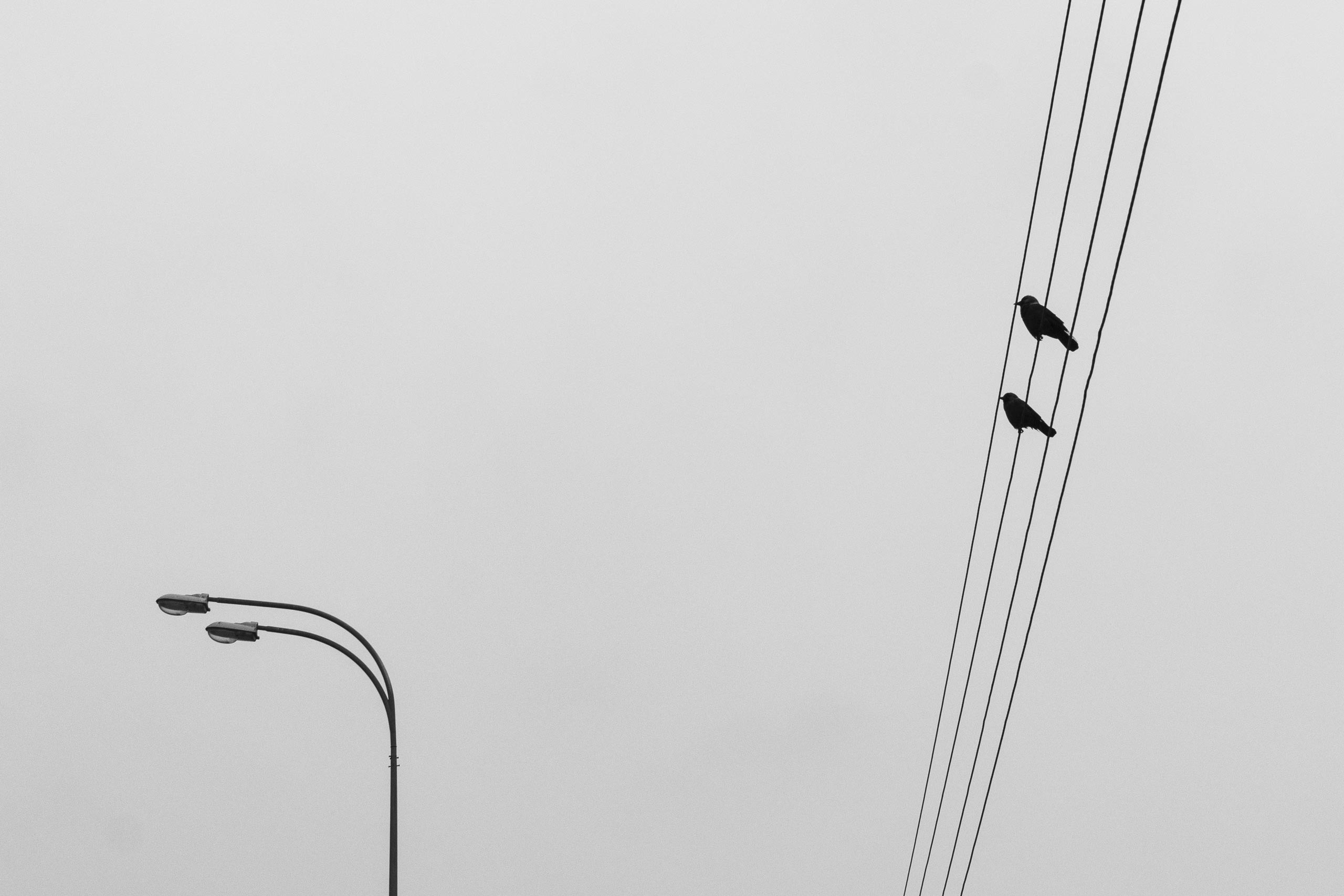 100 фотографий. Артём Линейцев, фотограф