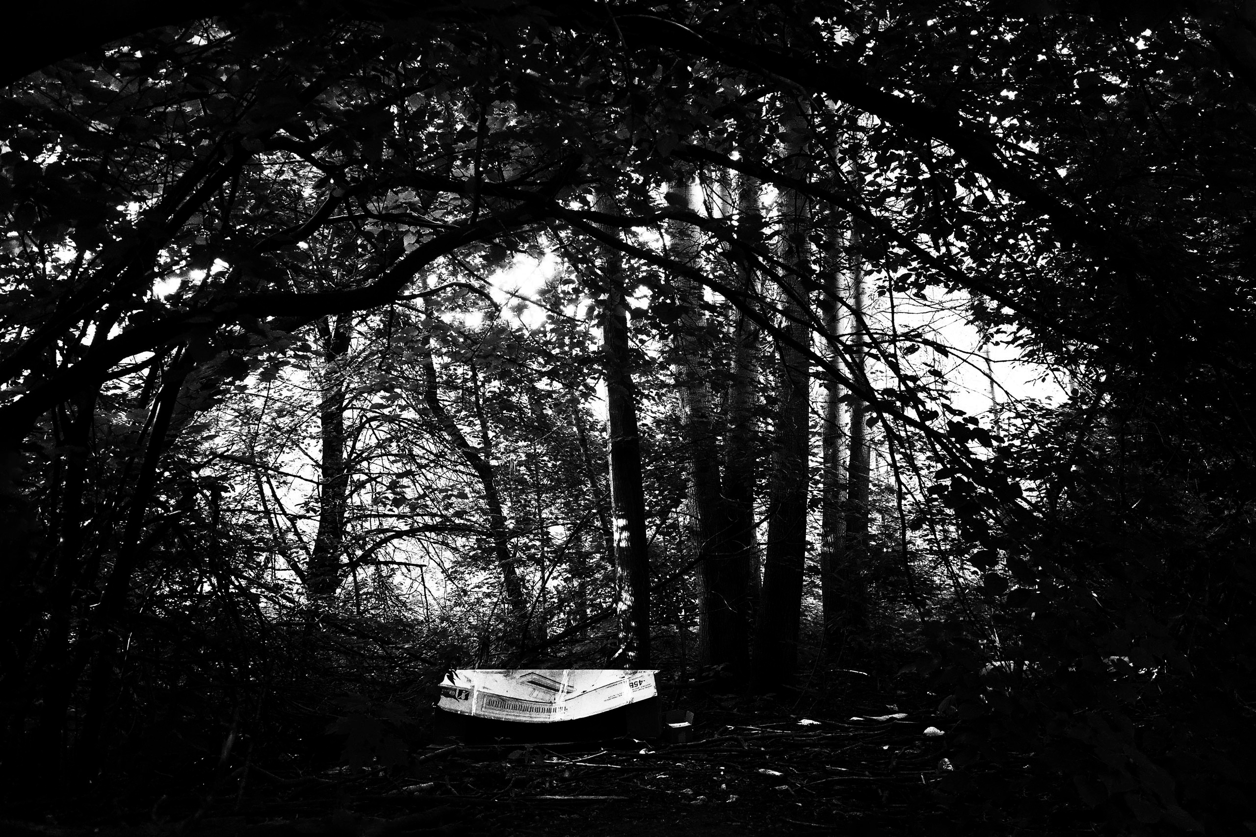 100 фотографий. Артём Линейцев, фотограф