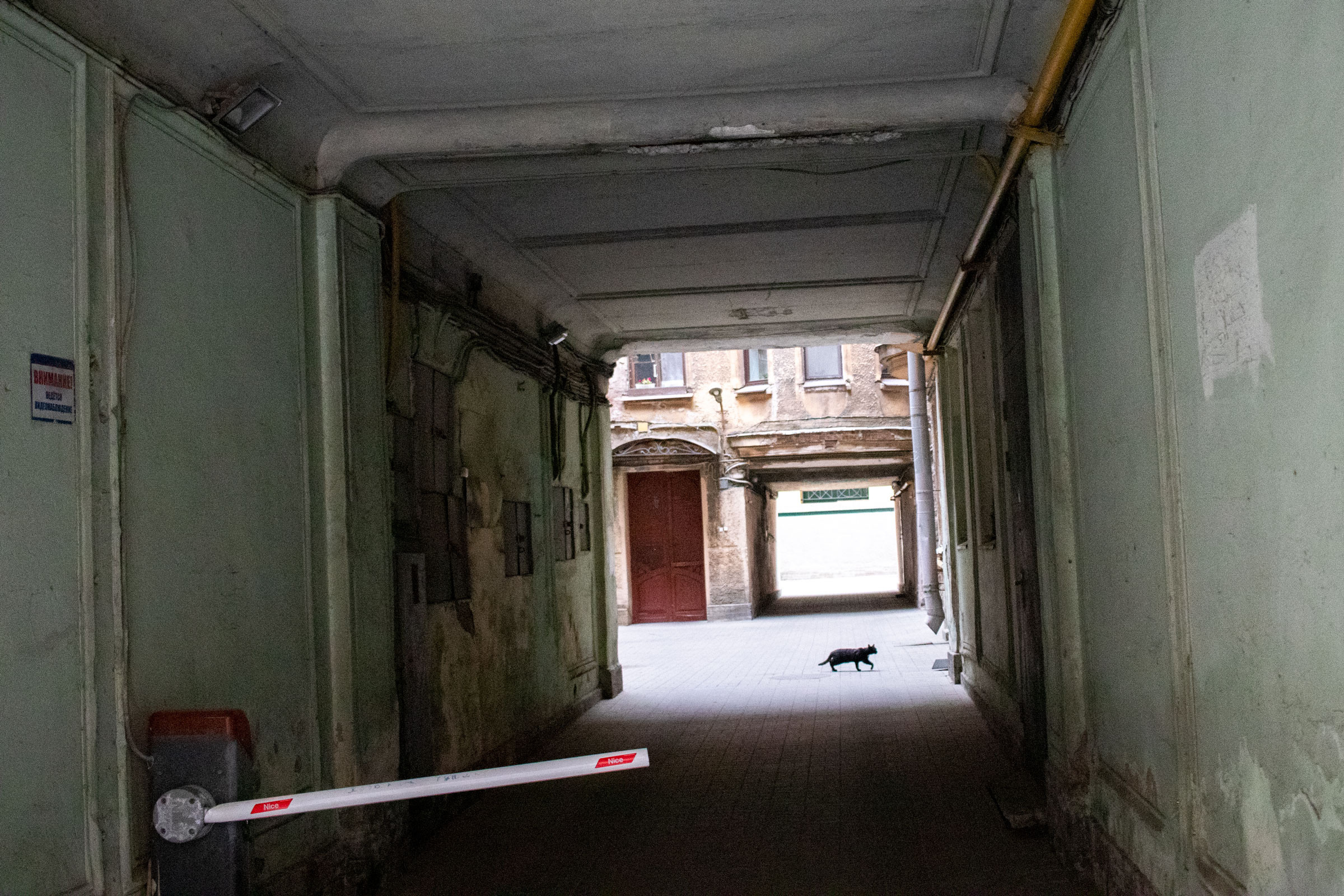 100 фотографий. Артём Линейцев, фотограф