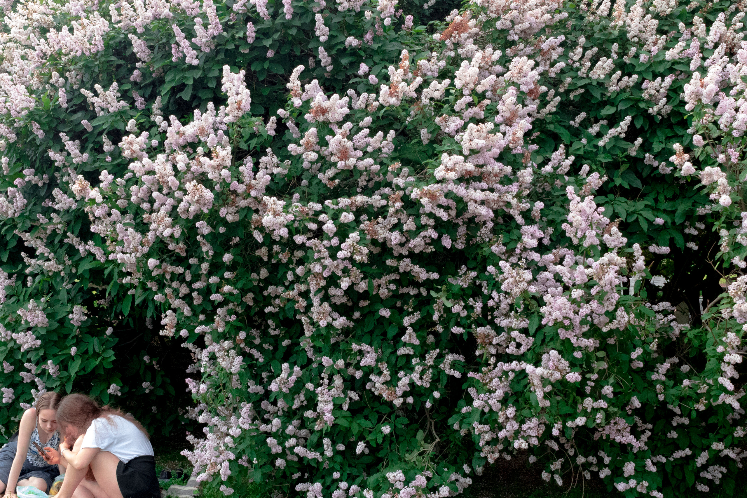 100 фотографий. Артём Линейцев, фотограф