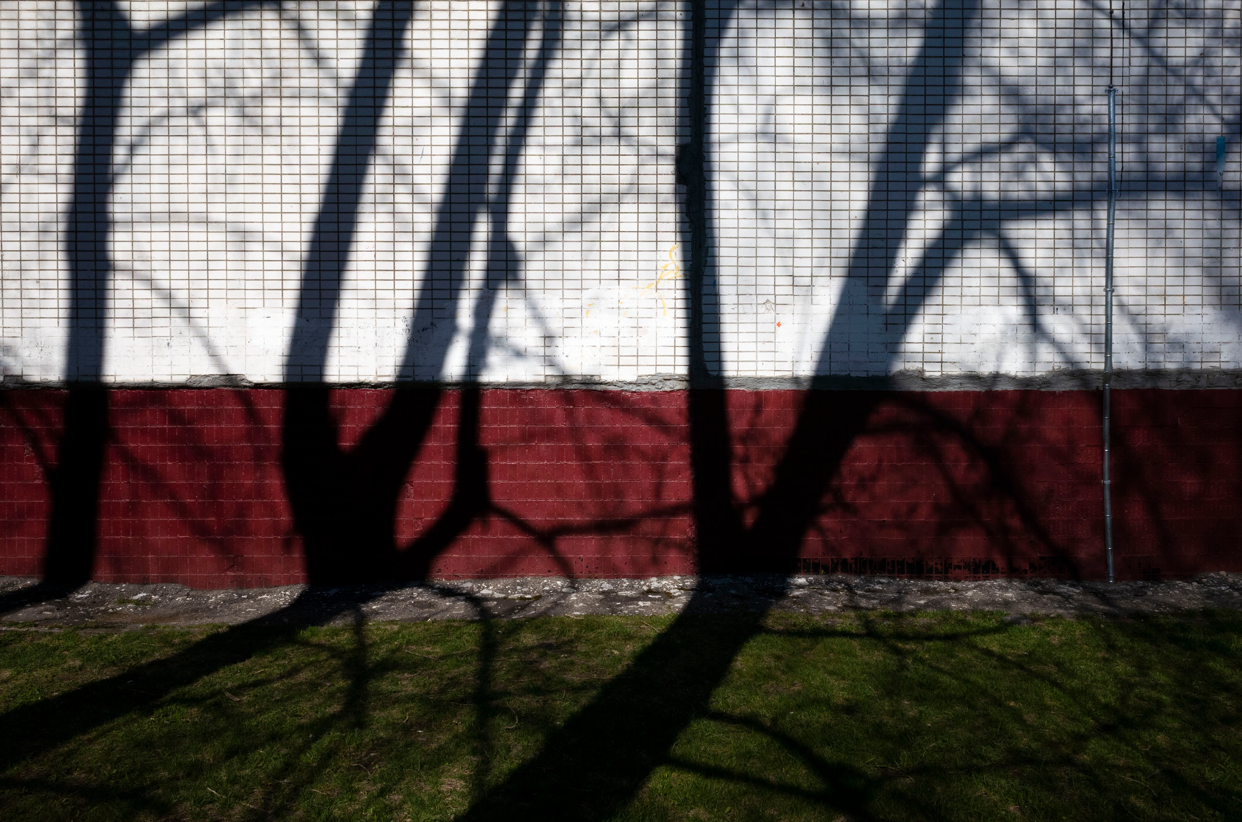 100 фотографий. Артём Линейцев, фотограф