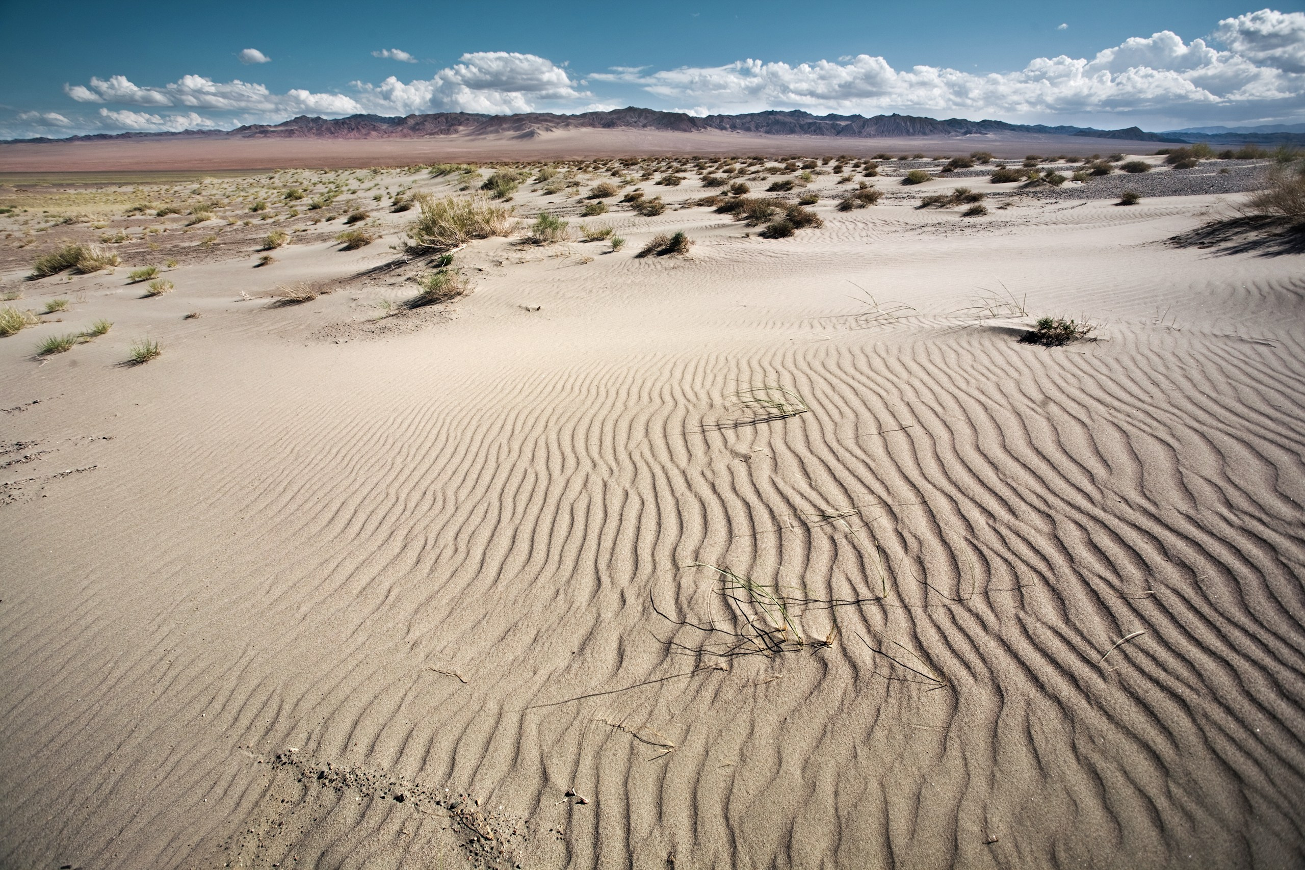 Монголия. Фотограф Владимир Медведев