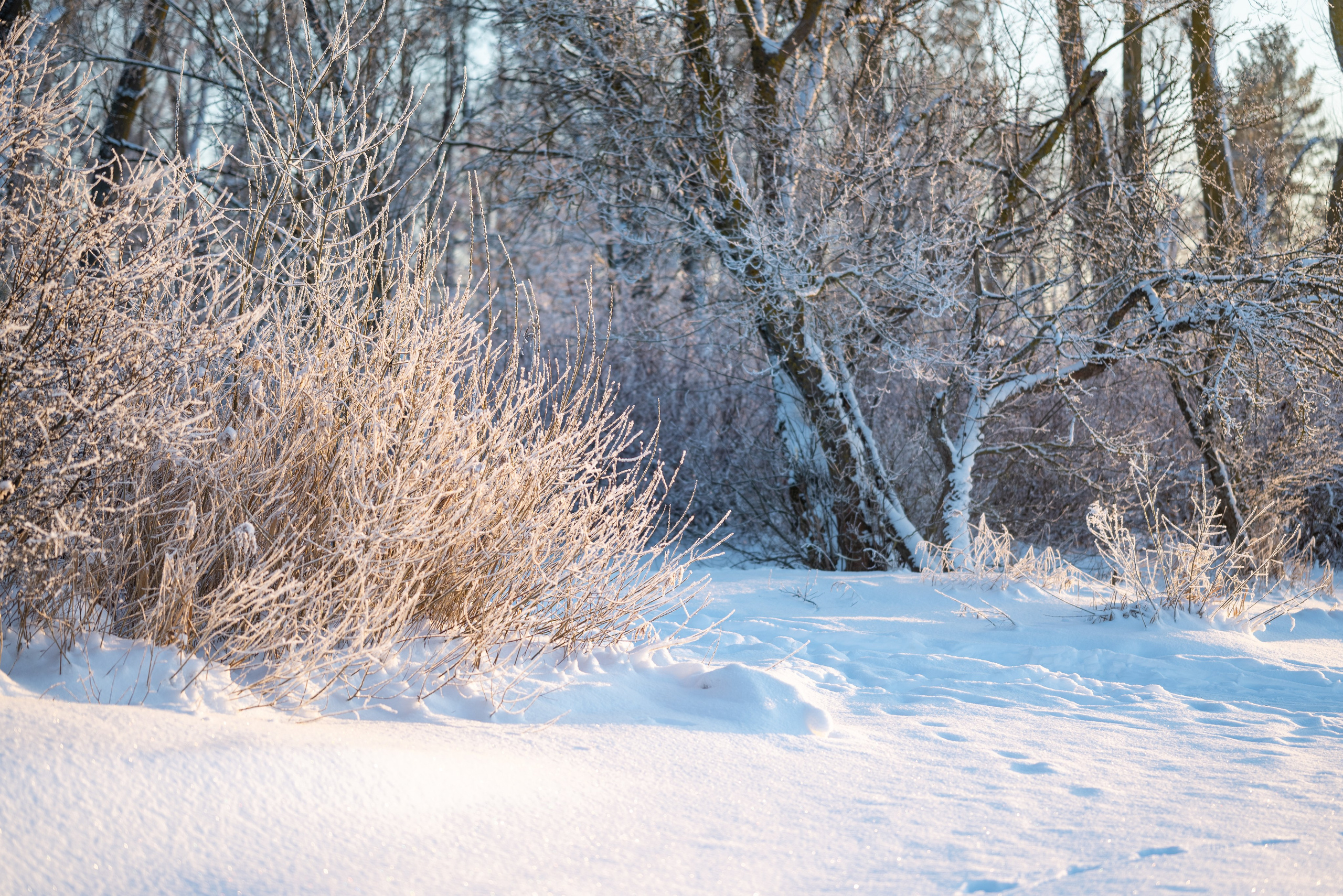 Места. Фотограф в Минске Дарья Кончакова