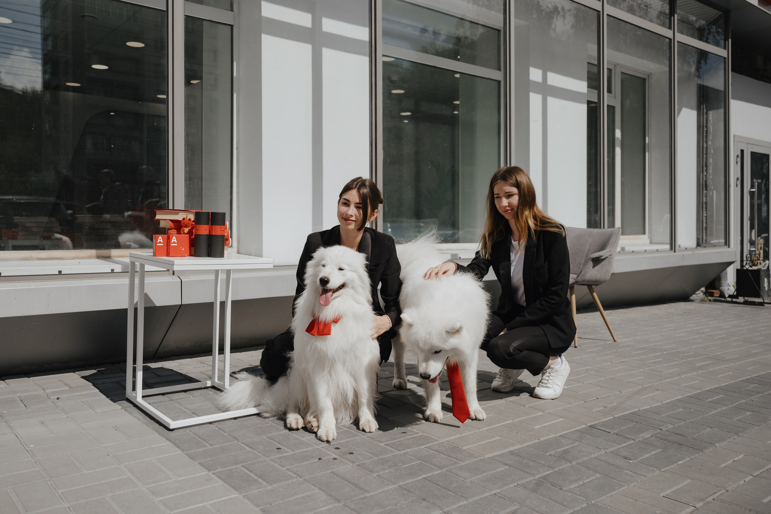 Альфа банк Карла Маркса 55. Фотограф Кристина Тумаева. Самоед Новосибирск