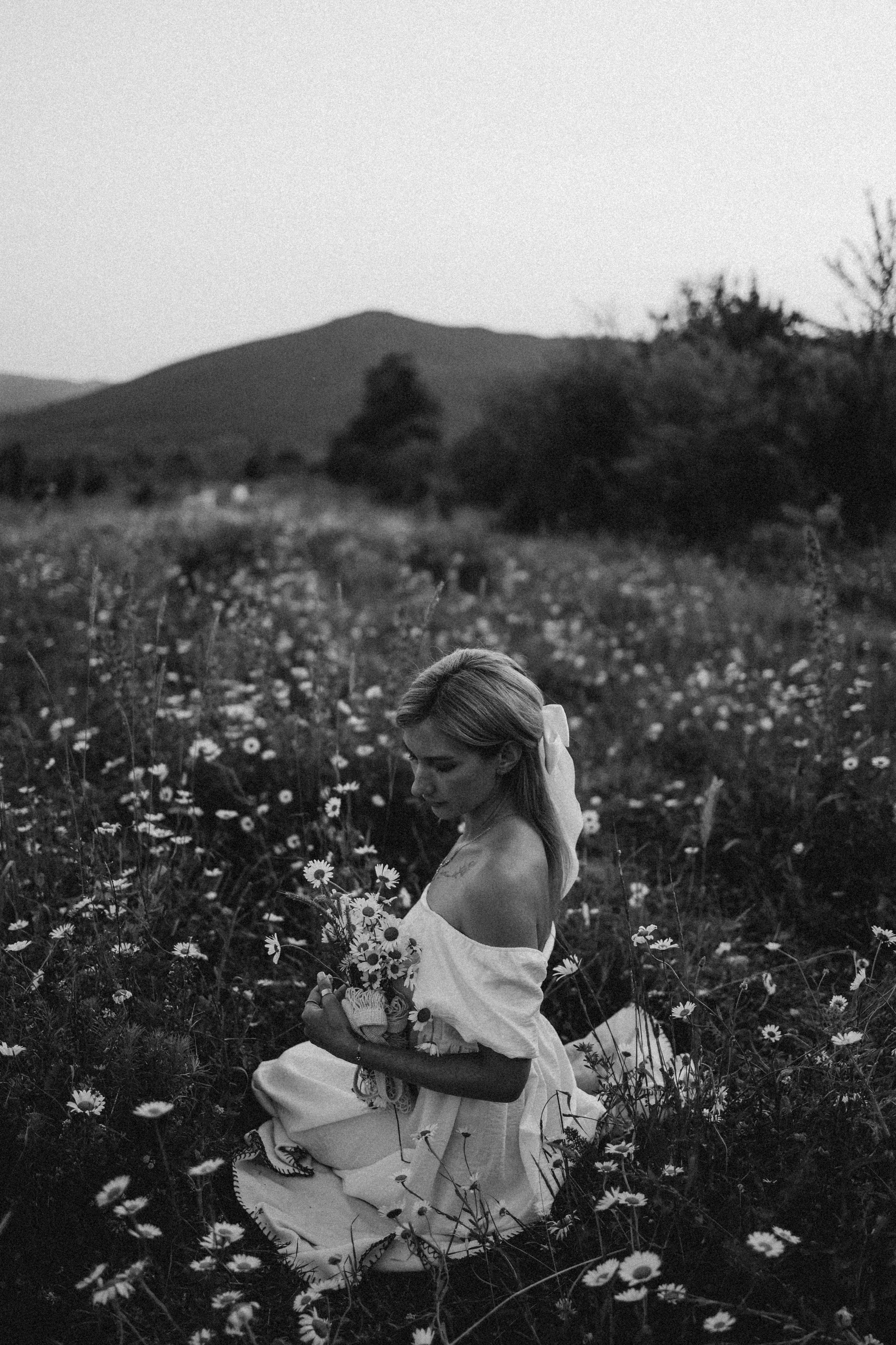 Ромашки. Фотограф Немазенко Ольга