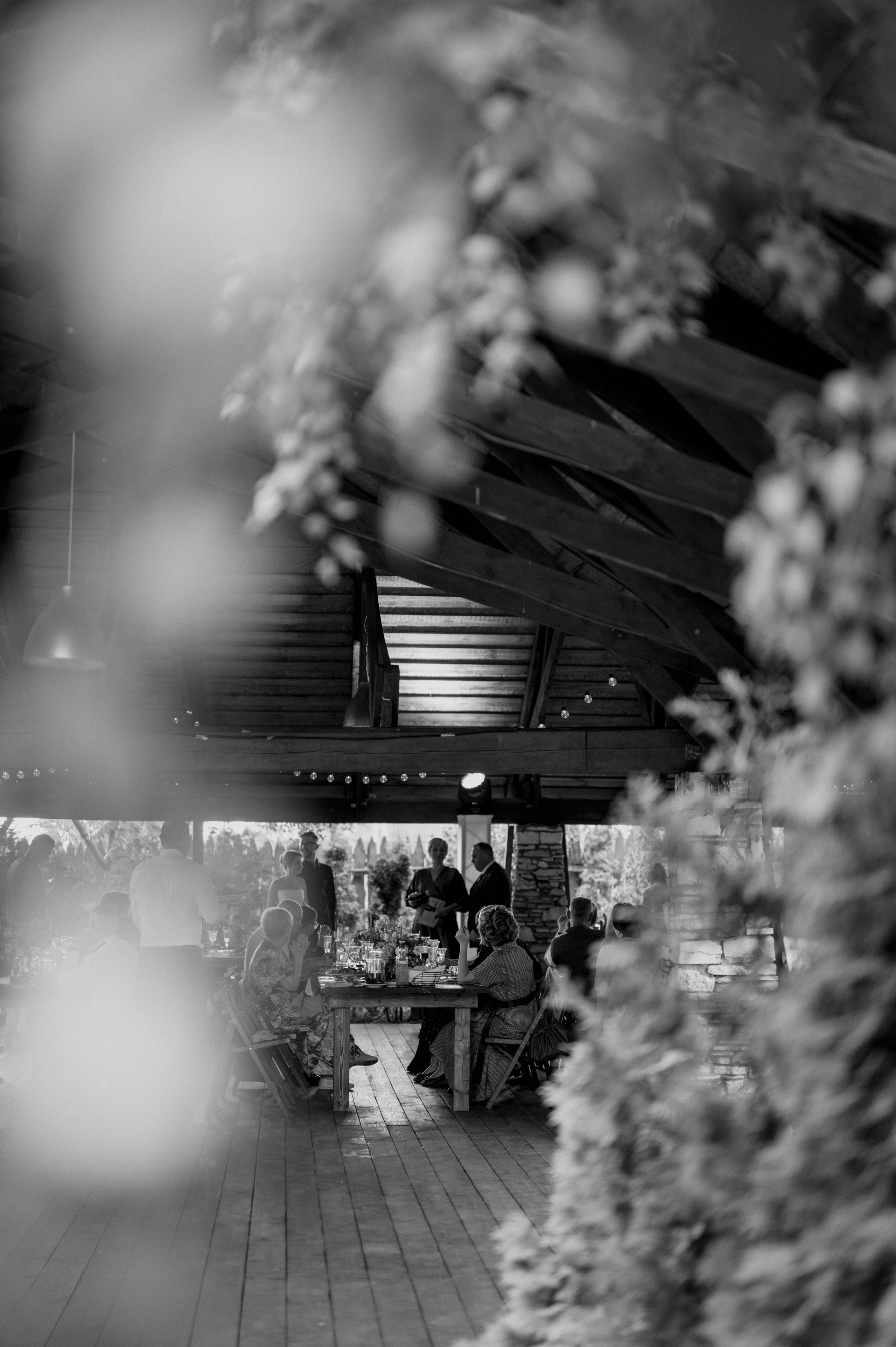 A&N. Алина Посторонка