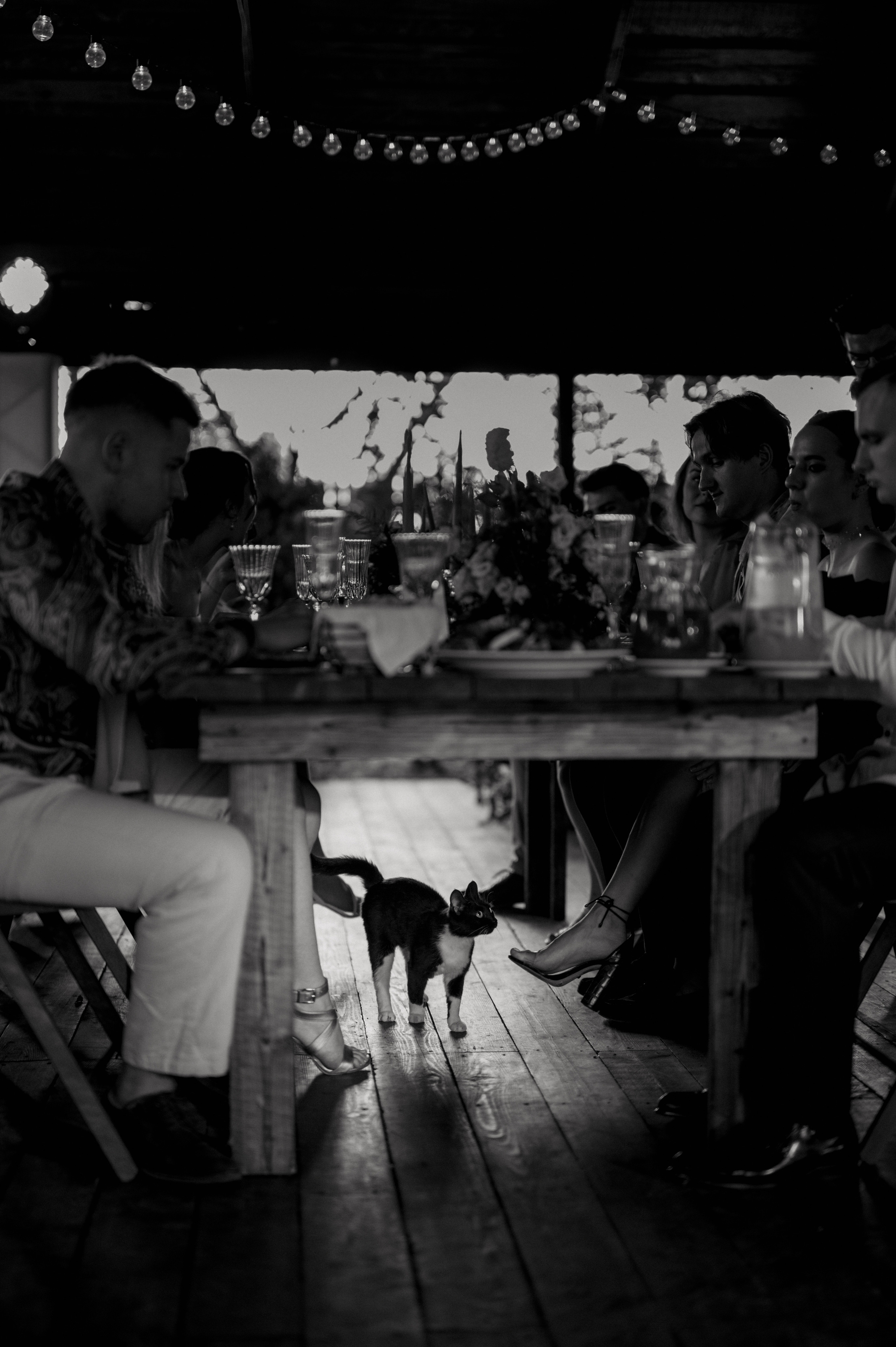 A&N. Алина Посторонка