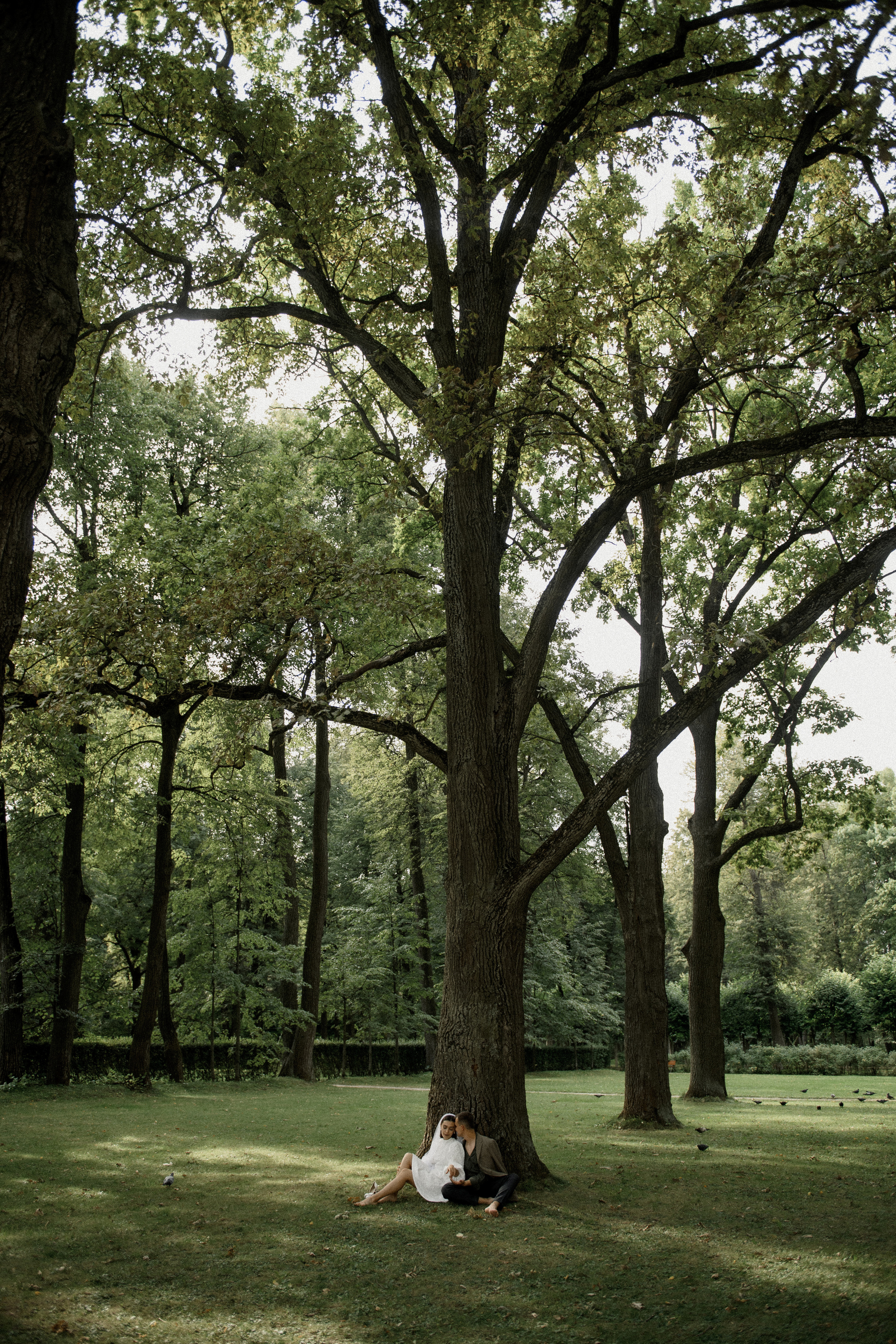 Дайте дождя. Алина Посторонка