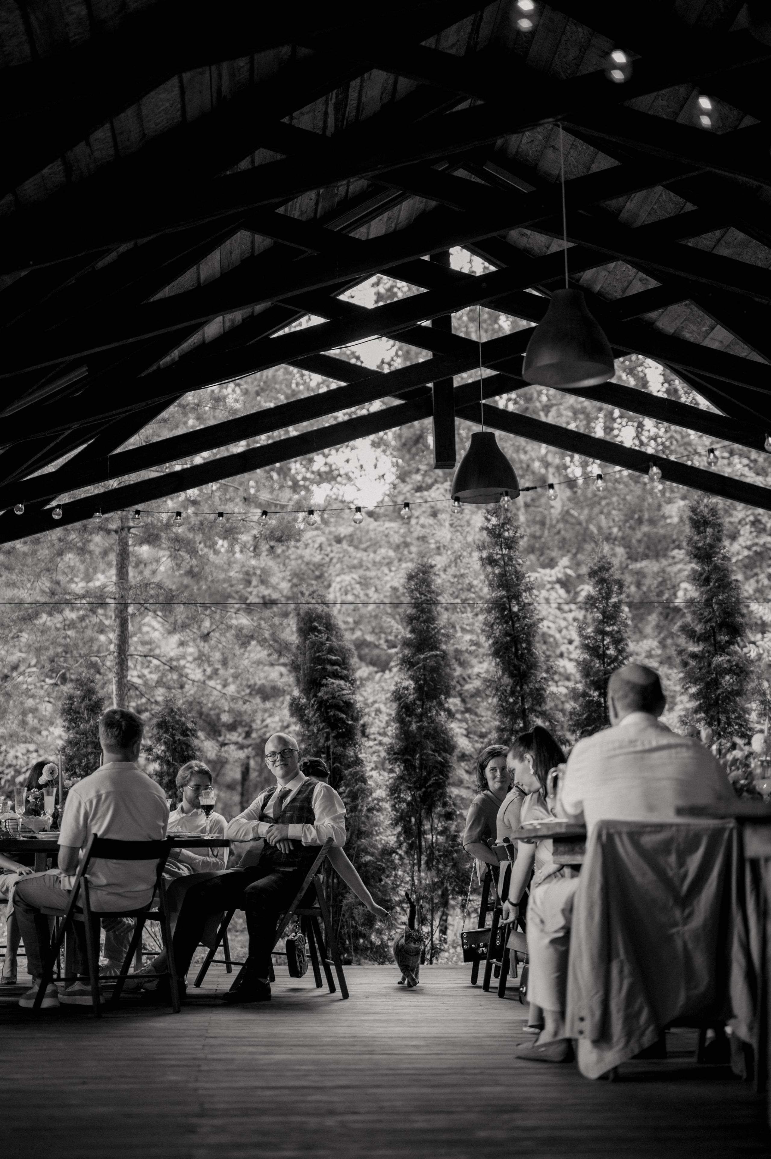 A&N. Алина Посторонка