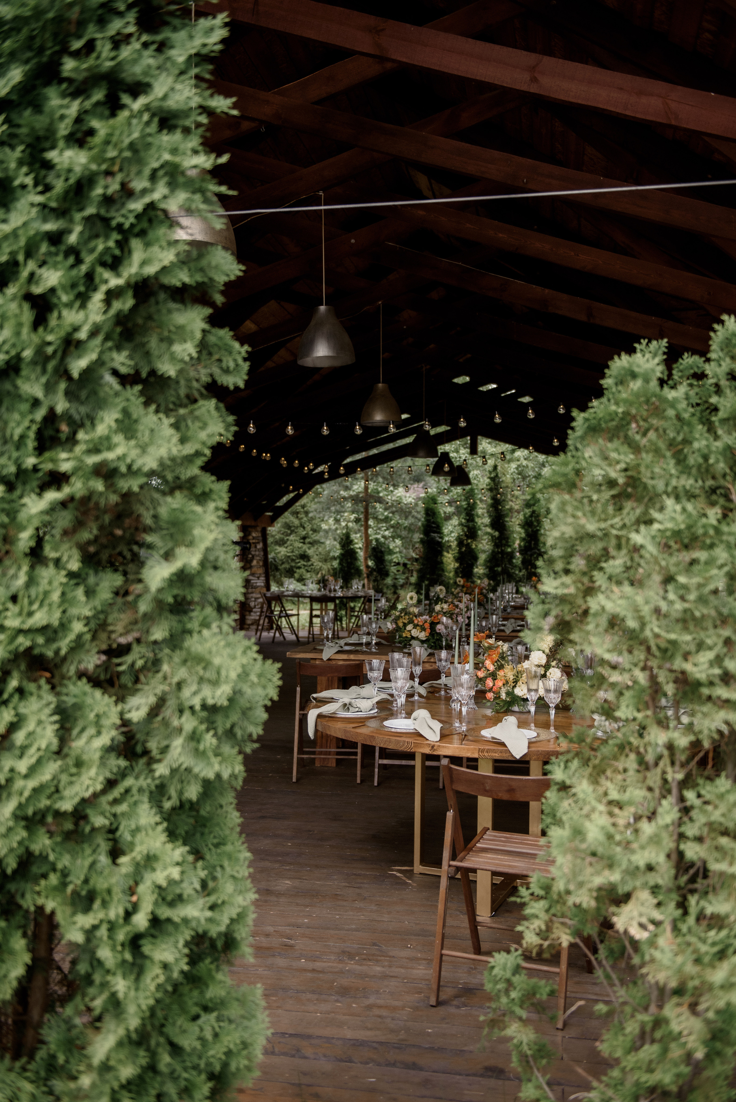 A&N. Алина Посторонка