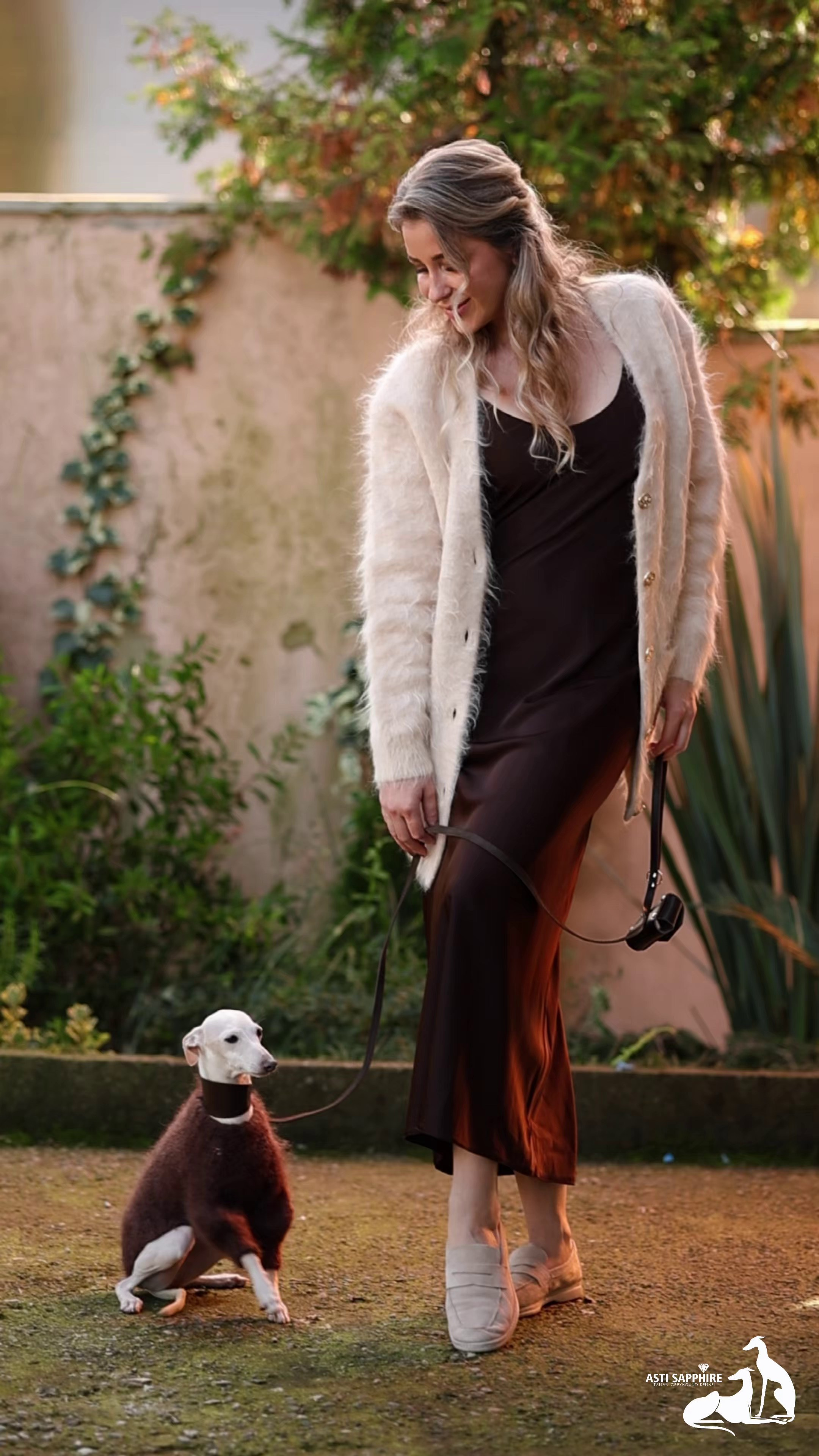 Asti Sapphire Yaasiina Laysan Cerulian. Профессиональный питомник левреток РКФ/FCI ASTI SAPPHIRE 💎 Сочи|Санкт-Петербург