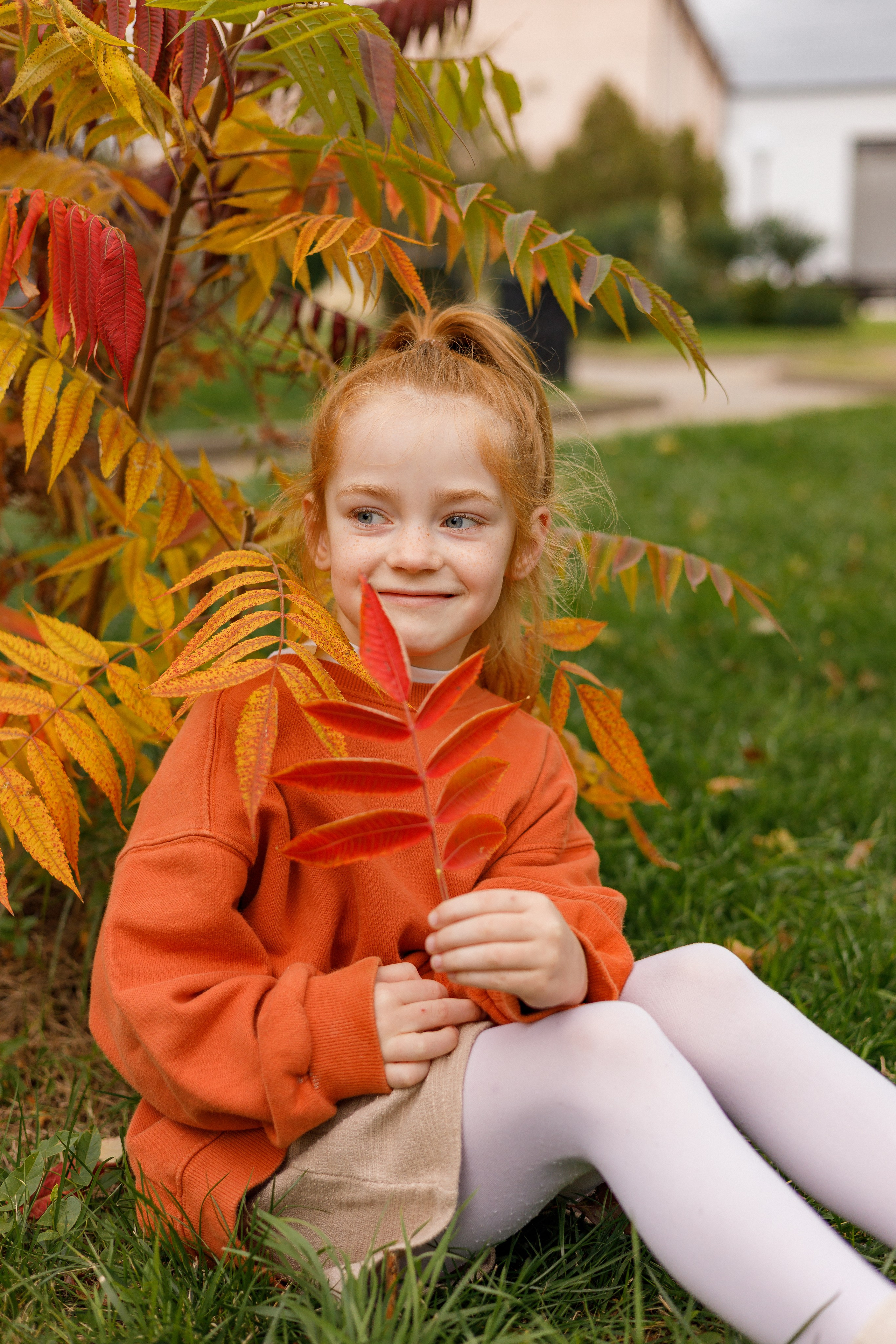 Осень на Юге