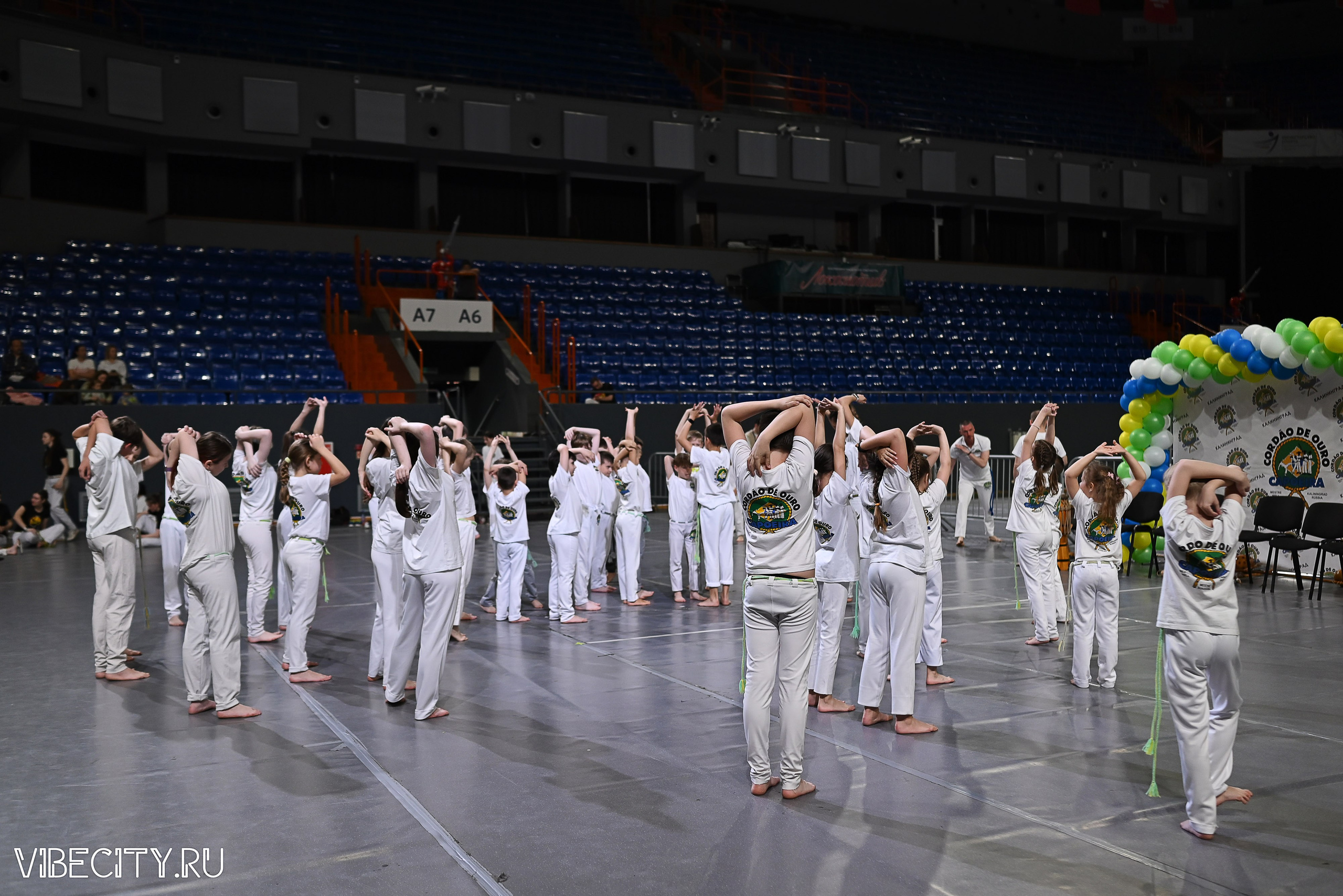 Капоэйра. Вручение поясов. VIBECITY.RU Вайб Сити Ру Фоторепортажи Фотоотчеты Калининград