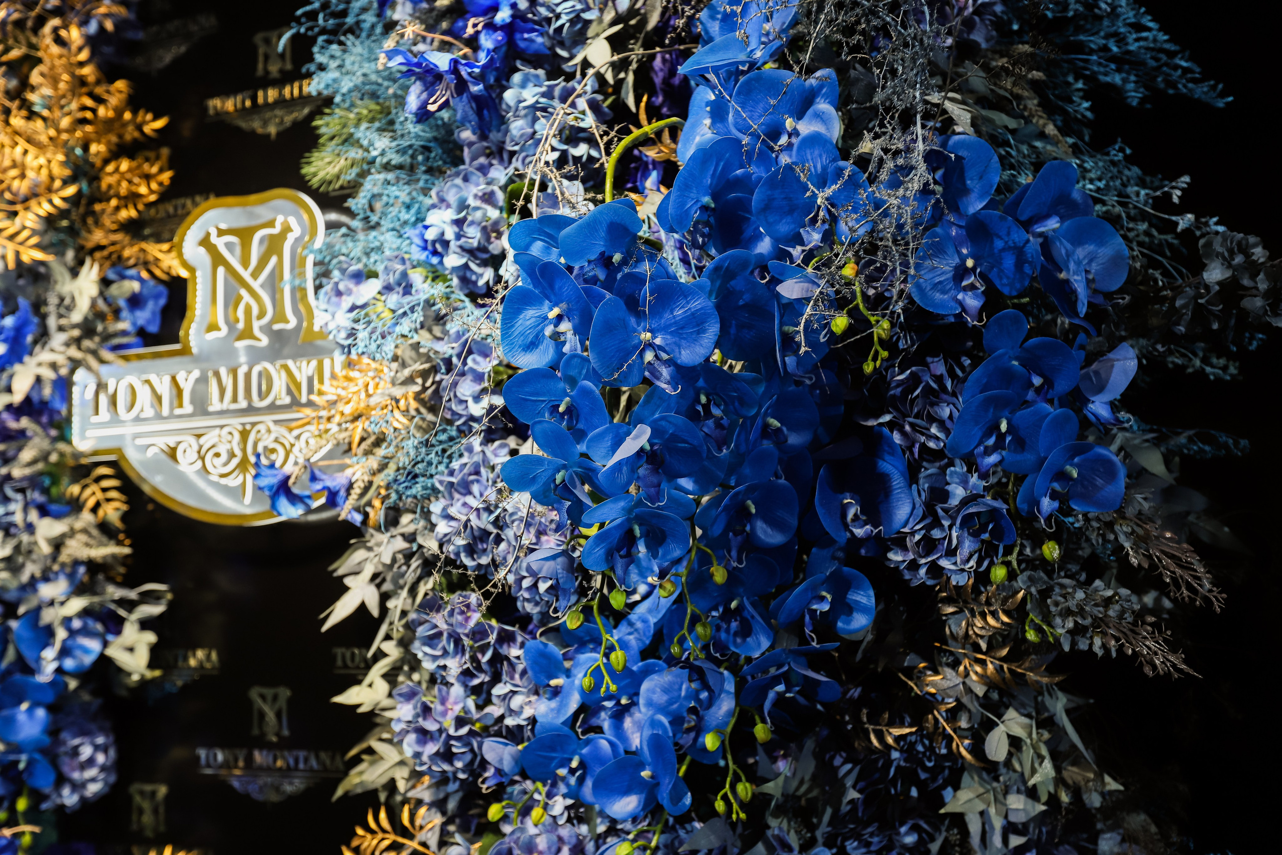 Tony Montana. Фотограф в Краснодаре Анна Светикова