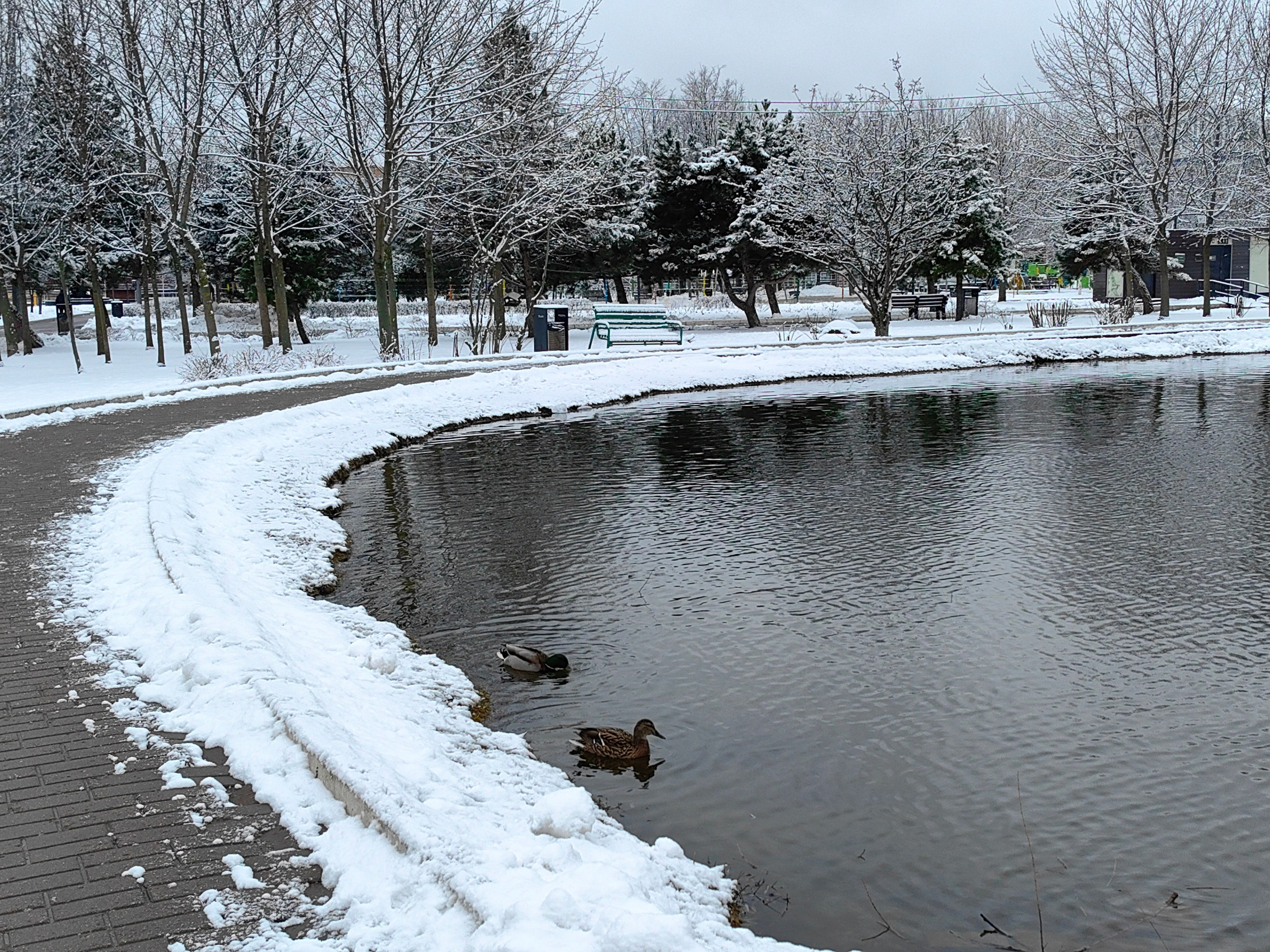 Спортивный фоторепортаж