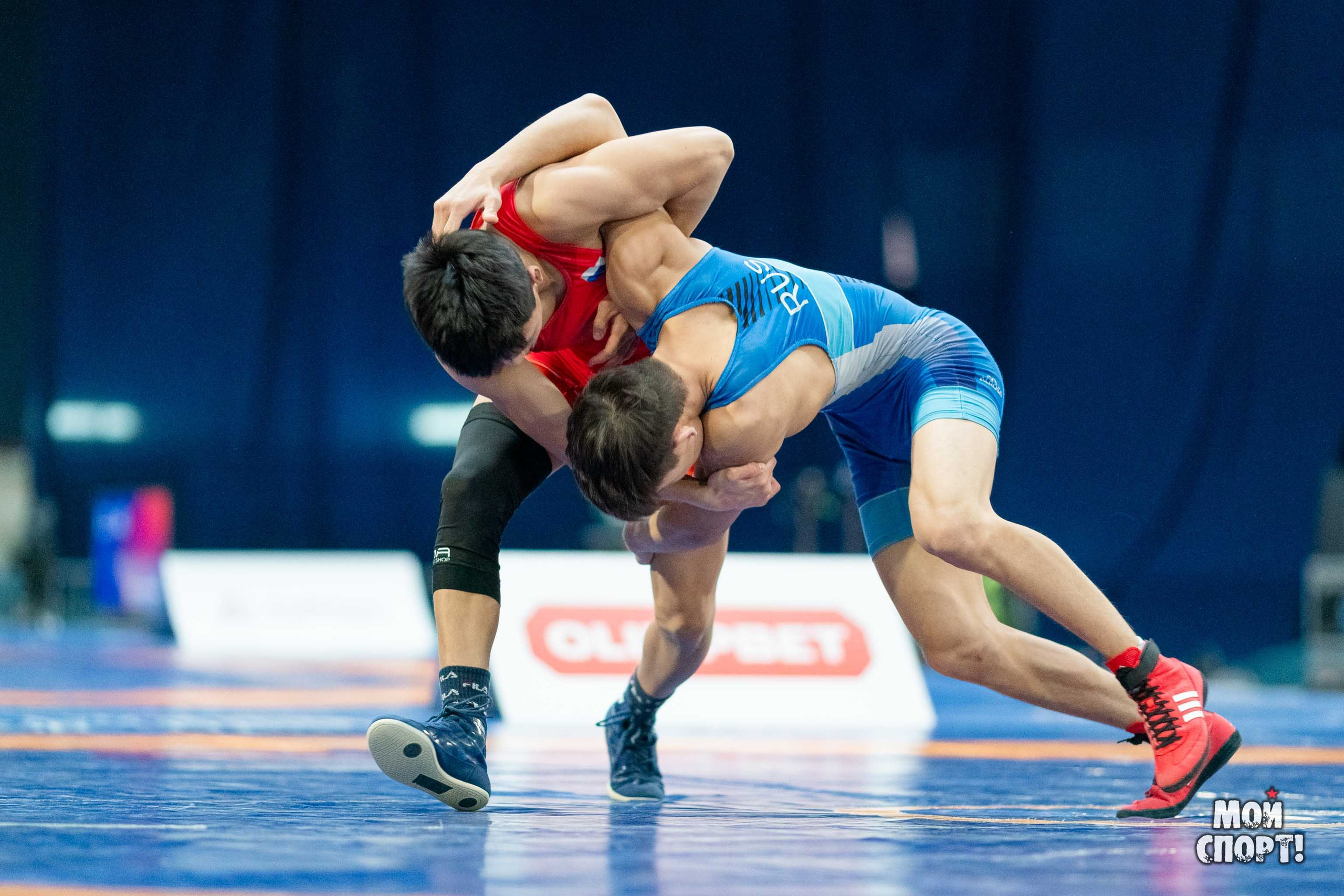 XII Международные соревнования по спортивной борьбе пам. Р. М. Дмитриева. Студия «Мой Спорт!» — все о спорте в Якутии