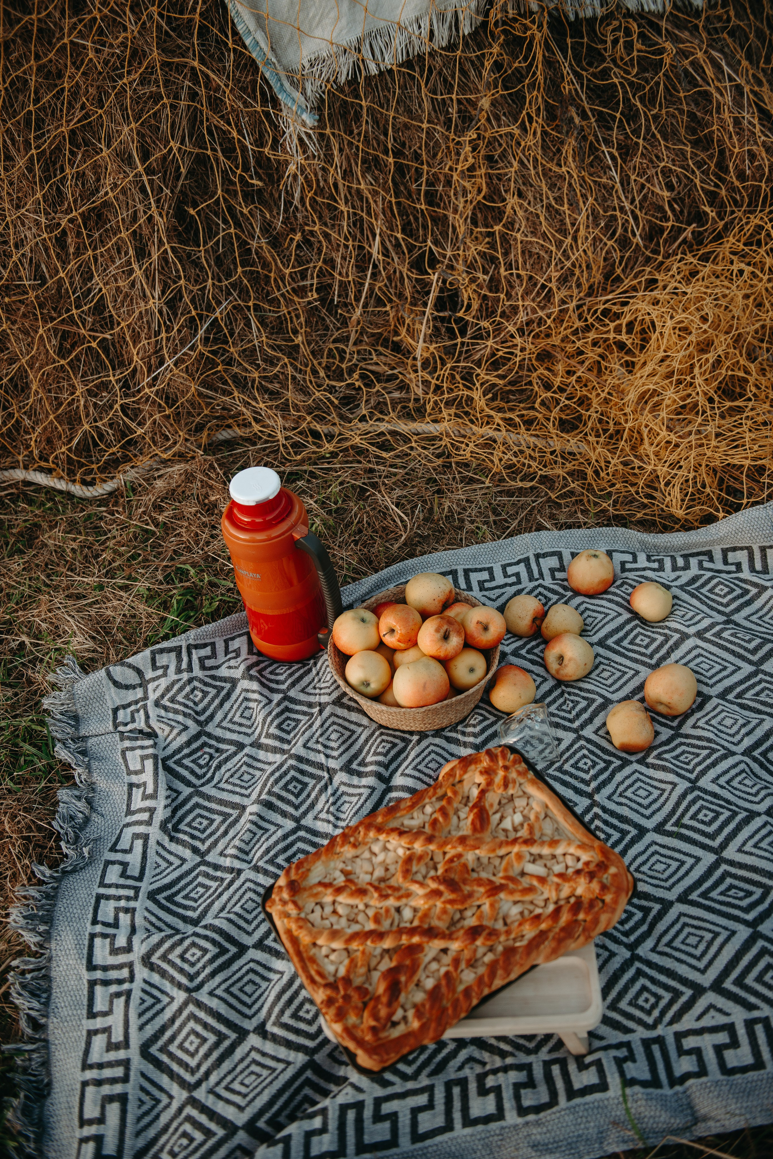 Дениска и Пелагея на сенокосе. Ирина Метелица фотограф на Шикотане